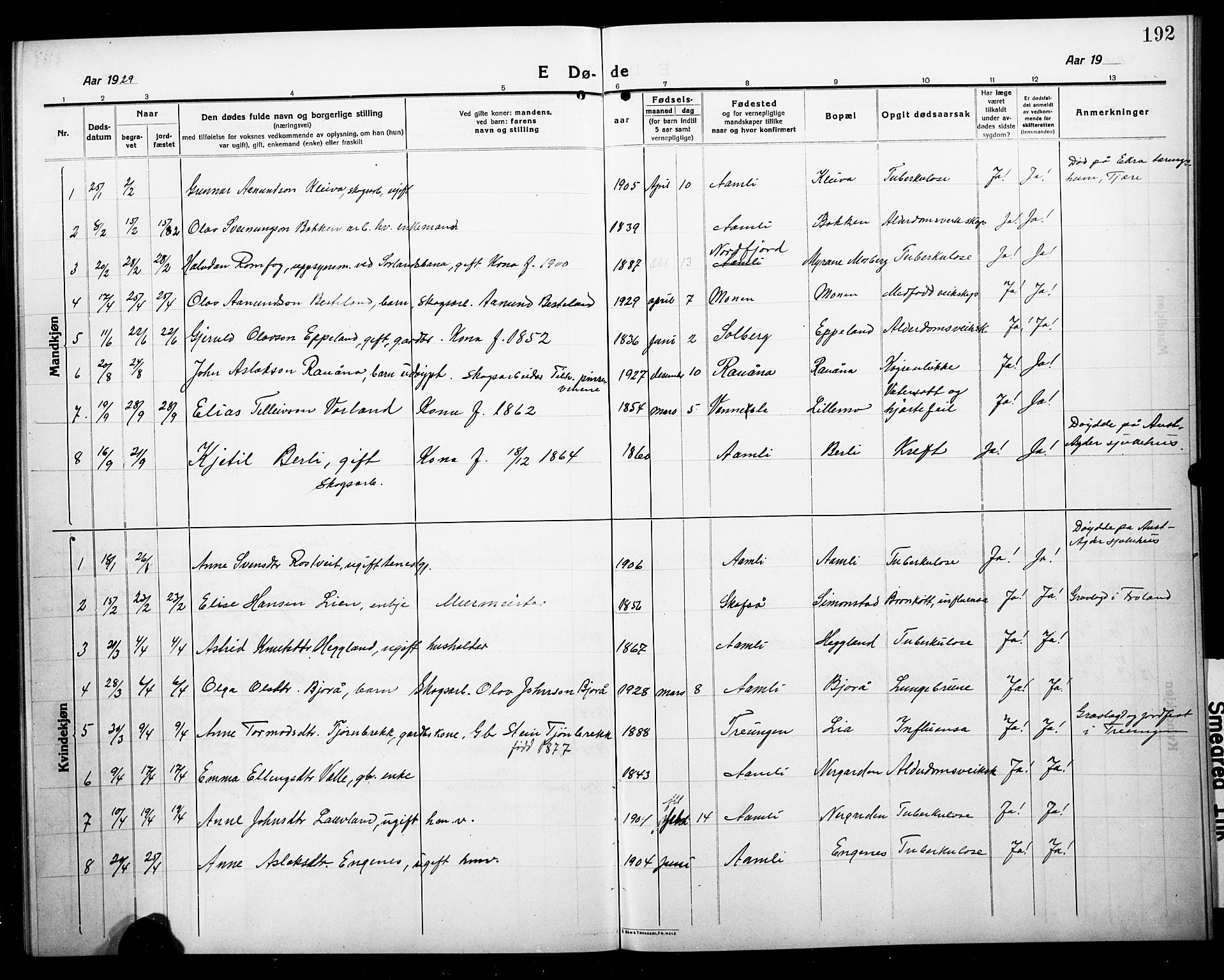 Åmli sokneprestkontor, AV/SAK-1111-0050/F/Fb/Fbc/L0006: Parish register (copy) no. B 6, 1915-1929, p. 192