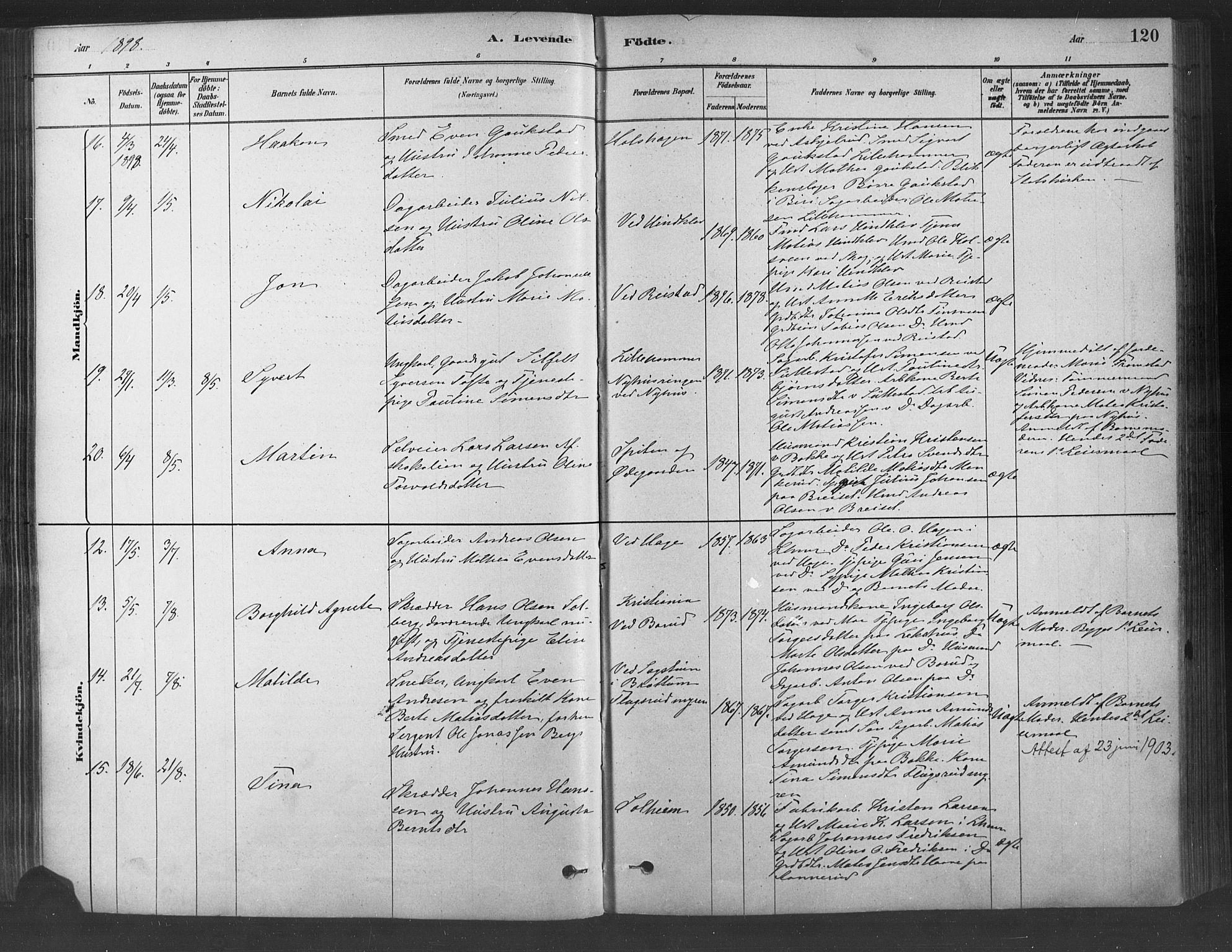 Fåberg prestekontor, AV/SAH-PREST-086/H/Ha/Haa/L0009: Parish register (official) no. 9, 1879-1898, p. 120