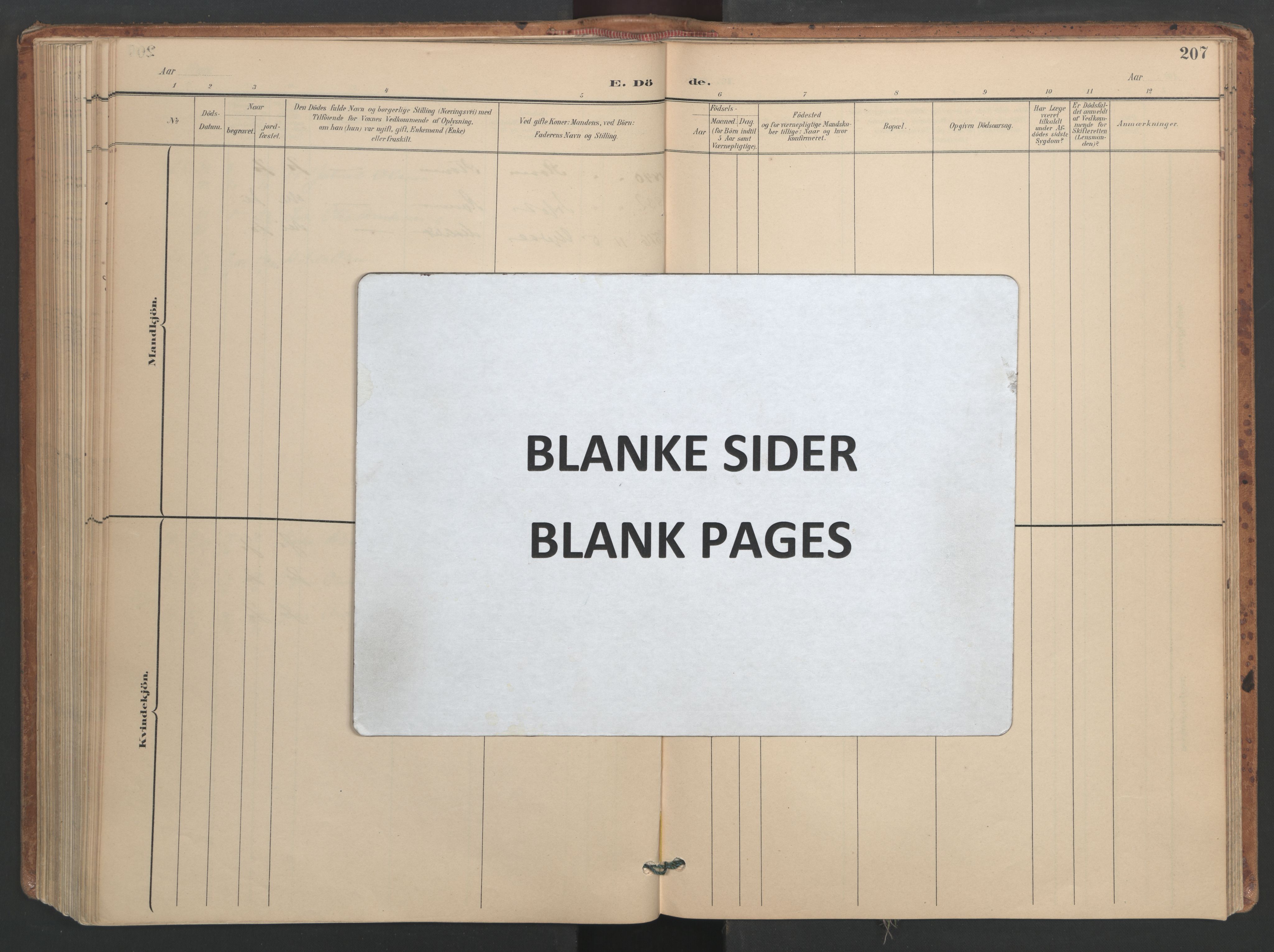 Ministerialprotokoller, klokkerbøker og fødselsregistre - Sør-Trøndelag, AV/SAT-A-1456/655/L0681: Parish register (official) no. 655A10, 1895-1907, p. 207