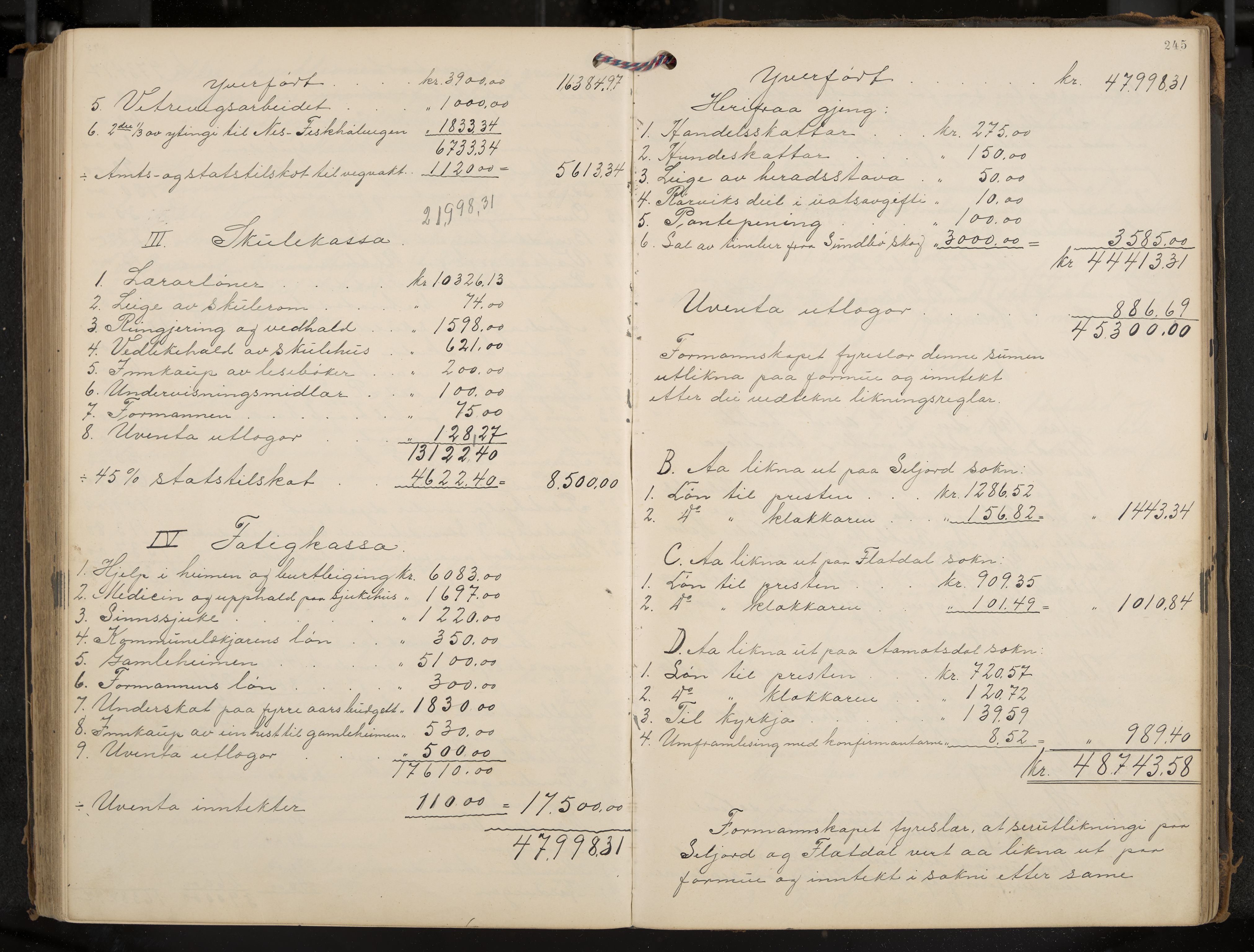 Seljord formannskap og sentraladministrasjon, IKAK/0828021/A/Aa/L0004: Møtebok med register, 1906-1917, p. 245