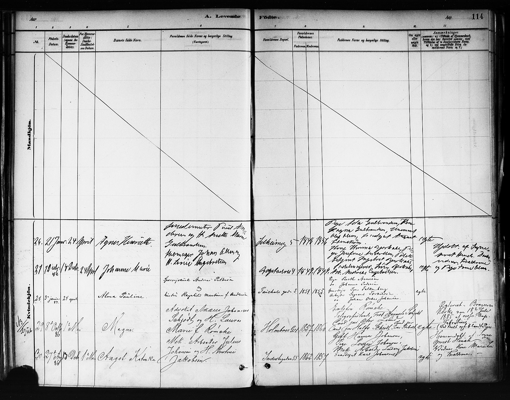 Uranienborg prestekontor Kirkebøker, SAO/A-10877/F/Fa/L0001: Parish register (official) no. 1, 1880-1895, p. 114
