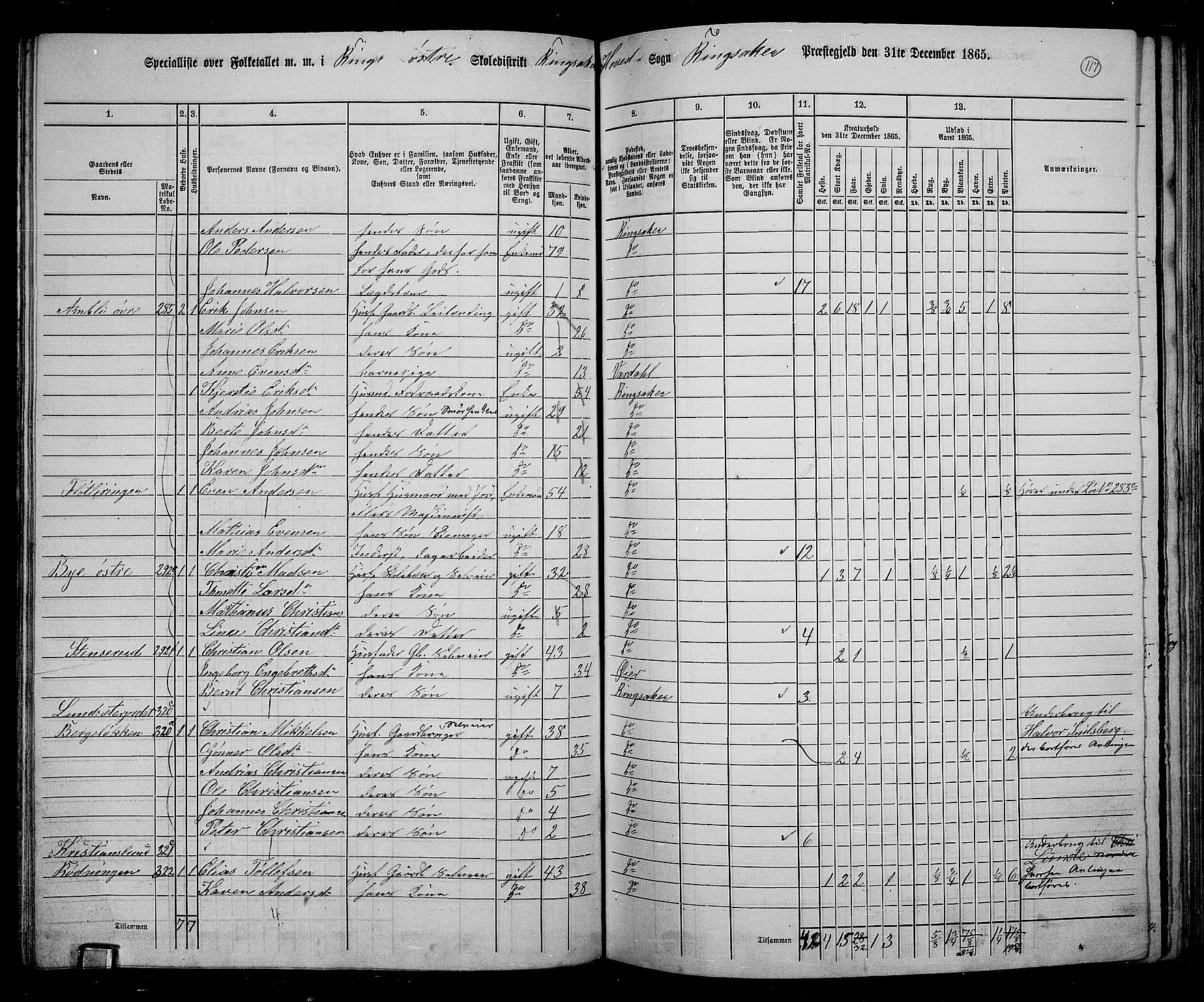 RA, 1865 census for Ringsaker, 1865, p. 365