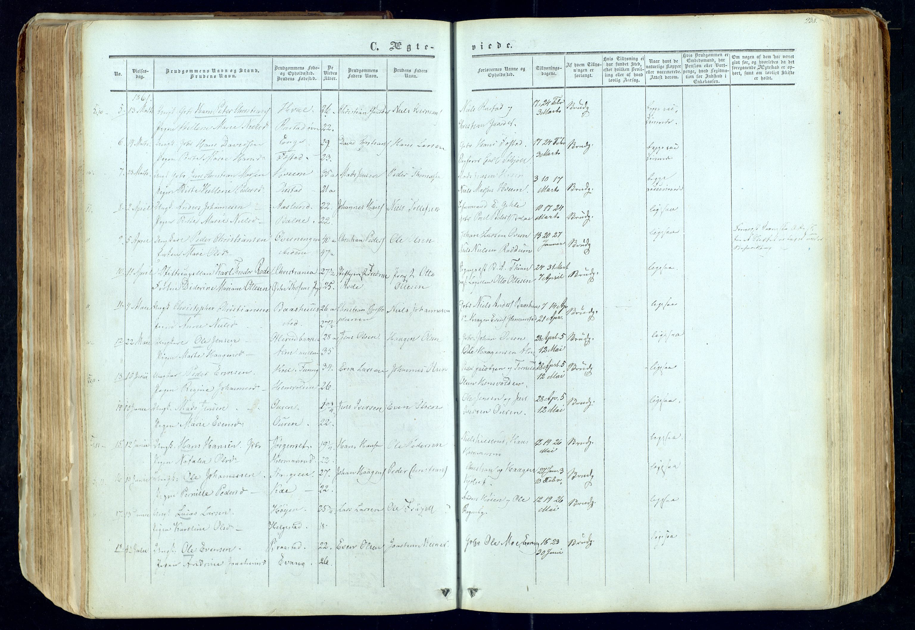 Østre Toten prestekontor, AV/SAH-PREST-104/H/Ha/Haa/L0004: Parish register (official) no. 4, 1857-1865, p. 238