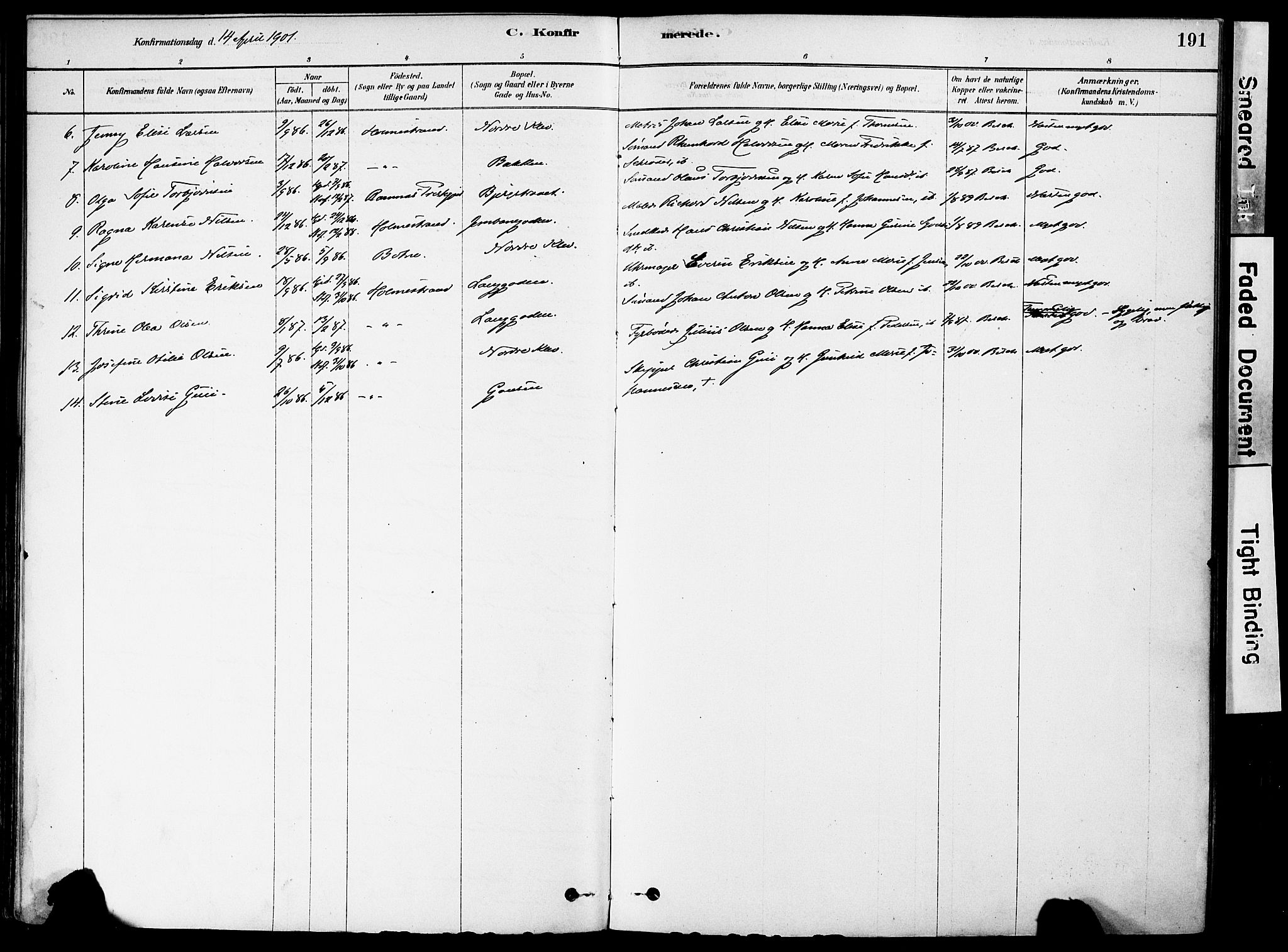 Holmestrand kirkebøker, AV/SAKO-A-346/F/Fa/L0004: Parish register (official) no. 4, 1880-1901, p. 191