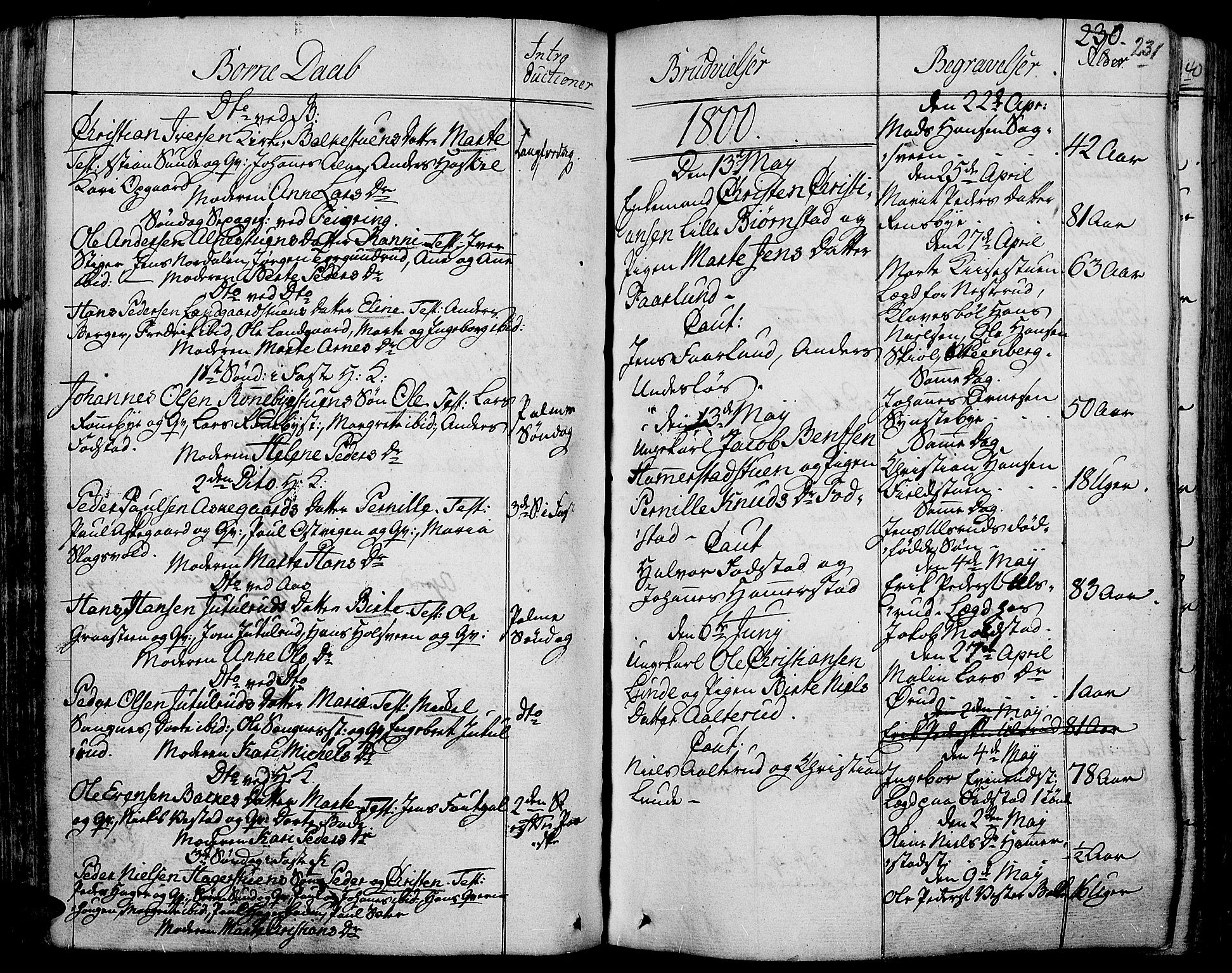 Toten prestekontor, SAH/PREST-102/H/Ha/Haa/L0007: Parish register (official) no. 7, 1794-1809, p. 231