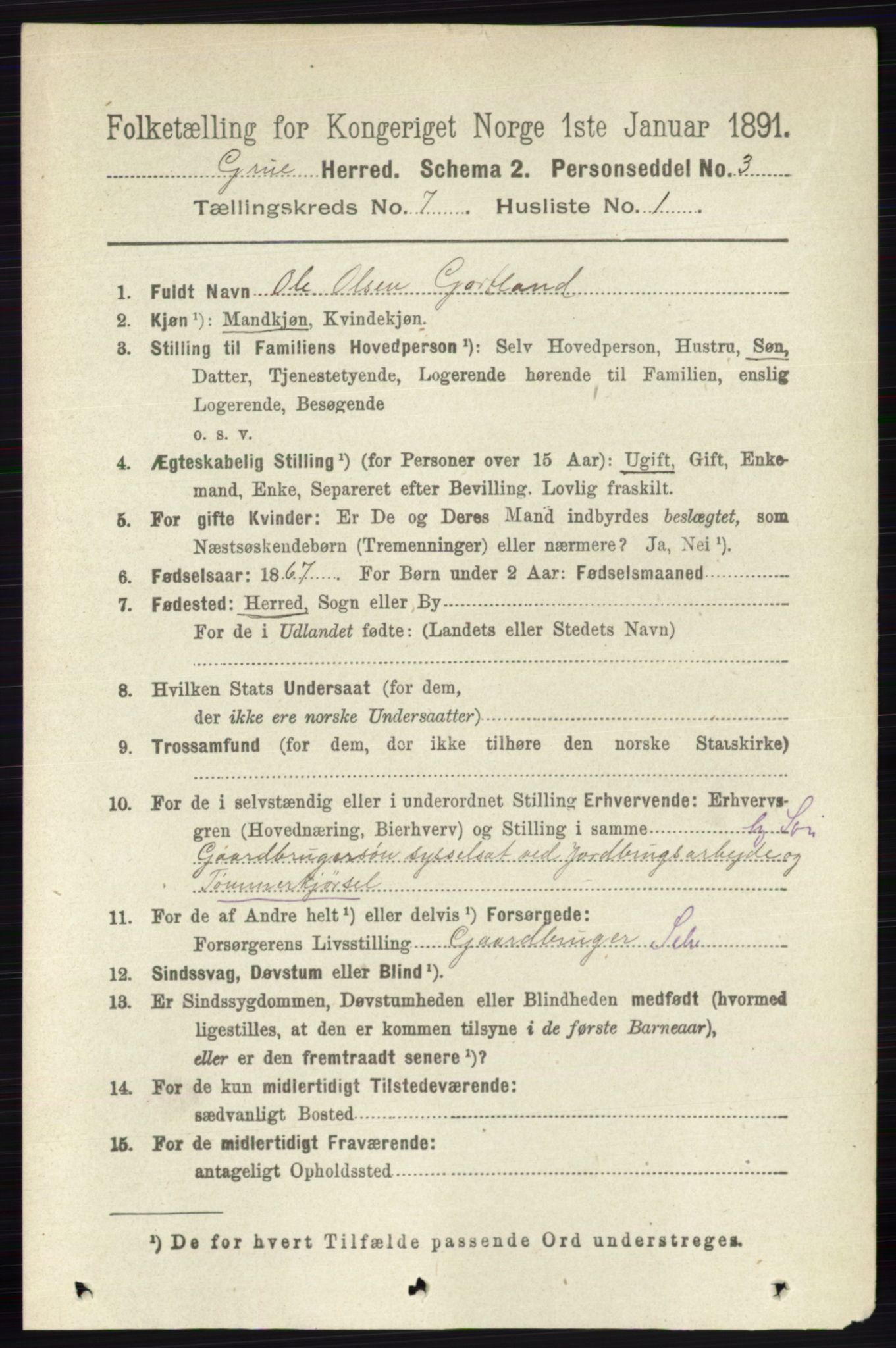 RA, 1891 census for 0423 Grue, 1891, p. 3569