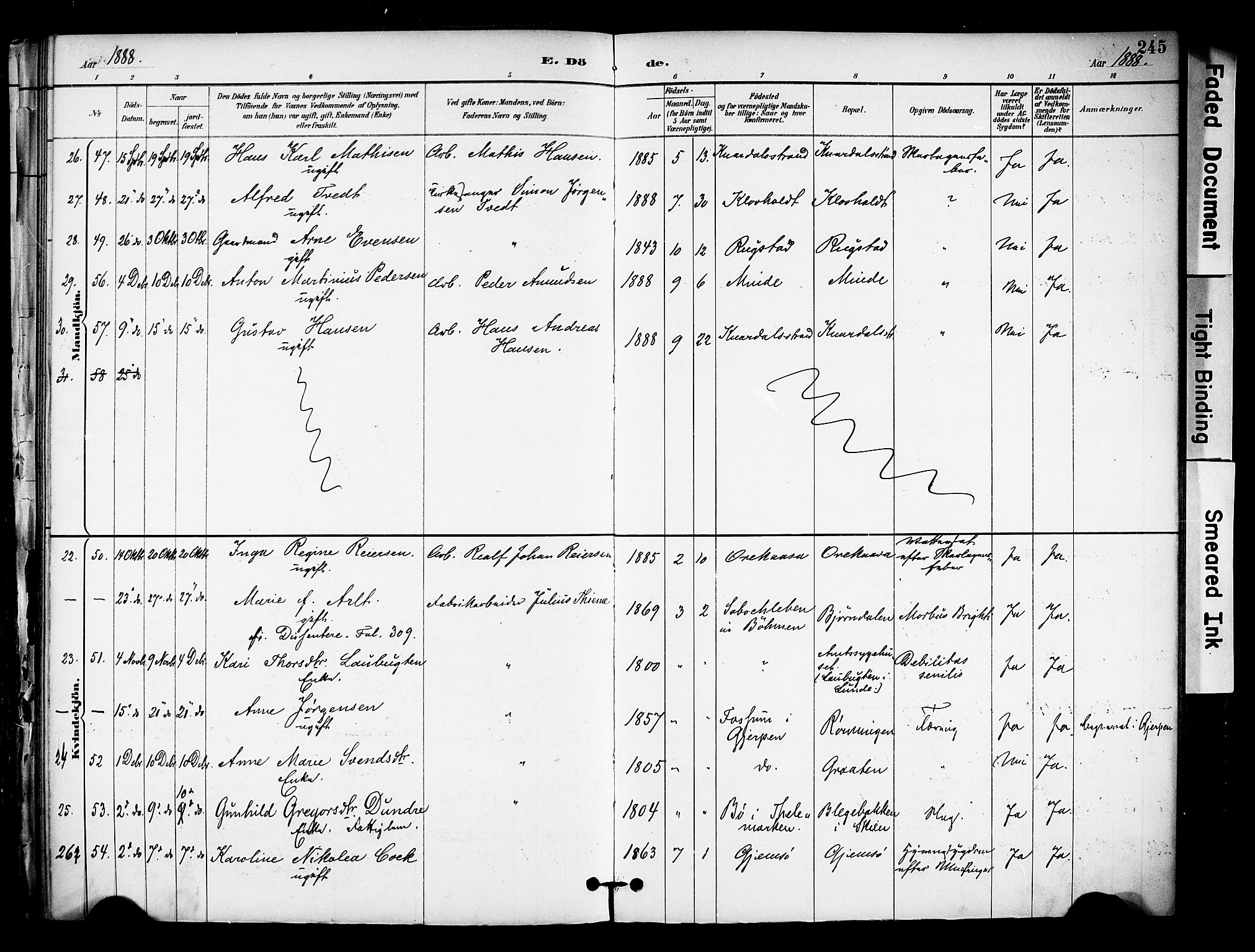 Solum kirkebøker, AV/SAKO-A-306/F/Fa/L0010: Parish register (official) no. I 10, 1888-1898, p. 245