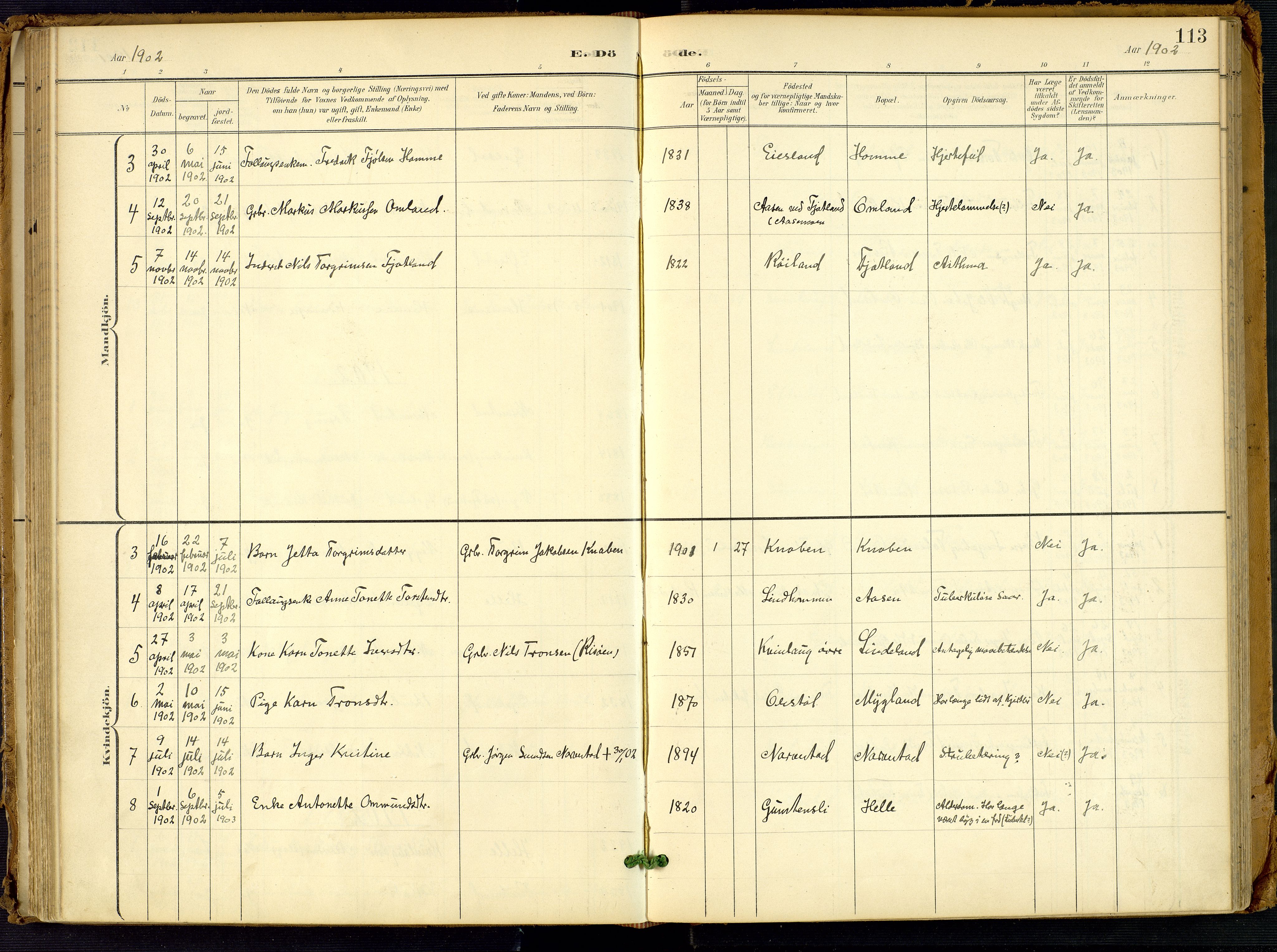 Fjotland sokneprestkontor, AV/SAK-1111-0010/F/Fa/L0003: Parish register (official) no. A 3, 1899-1917, p. 113