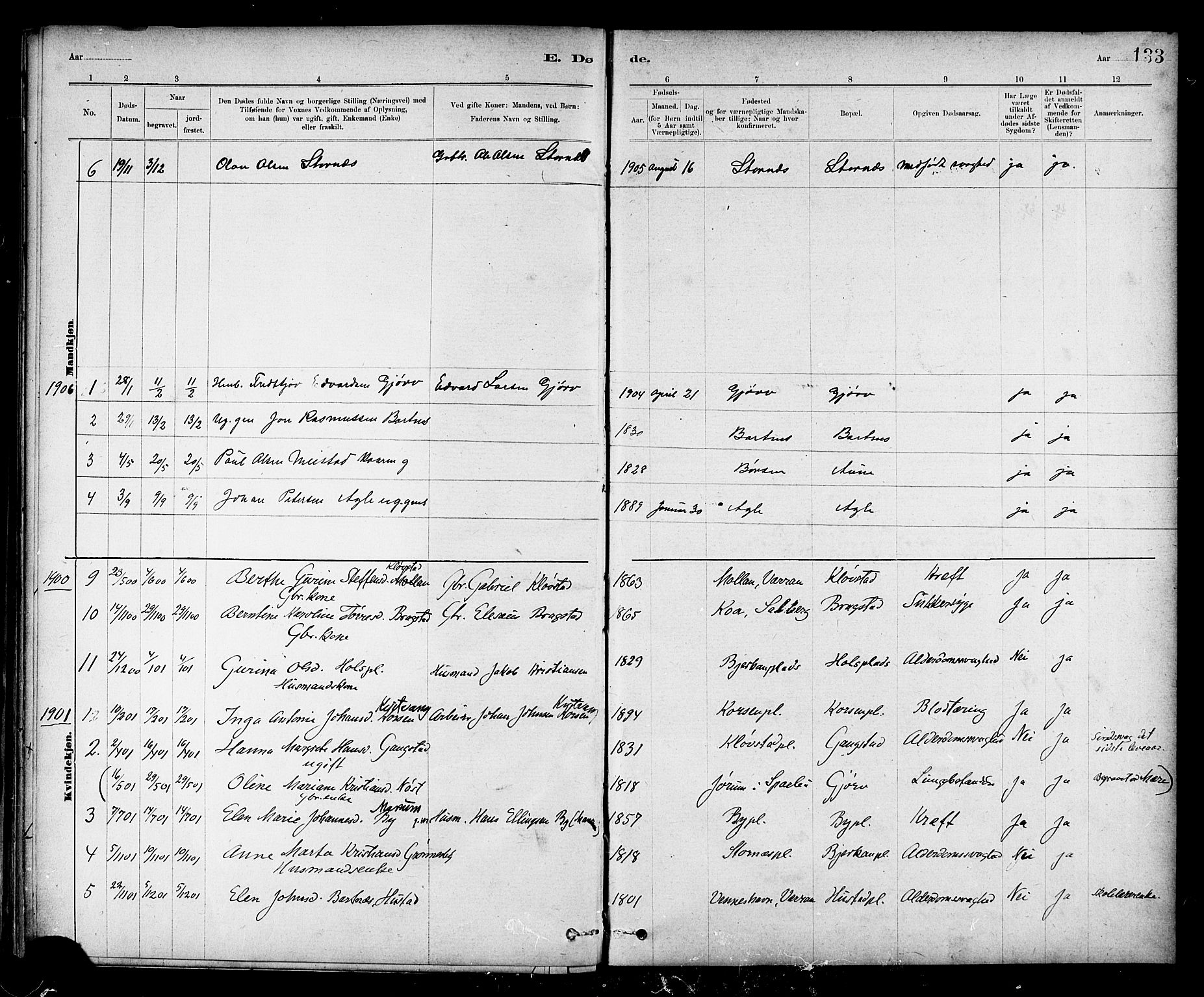 Ministerialprotokoller, klokkerbøker og fødselsregistre - Nord-Trøndelag, SAT/A-1458/732/L0318: Parish register (copy) no. 732C02, 1881-1911, p. 133