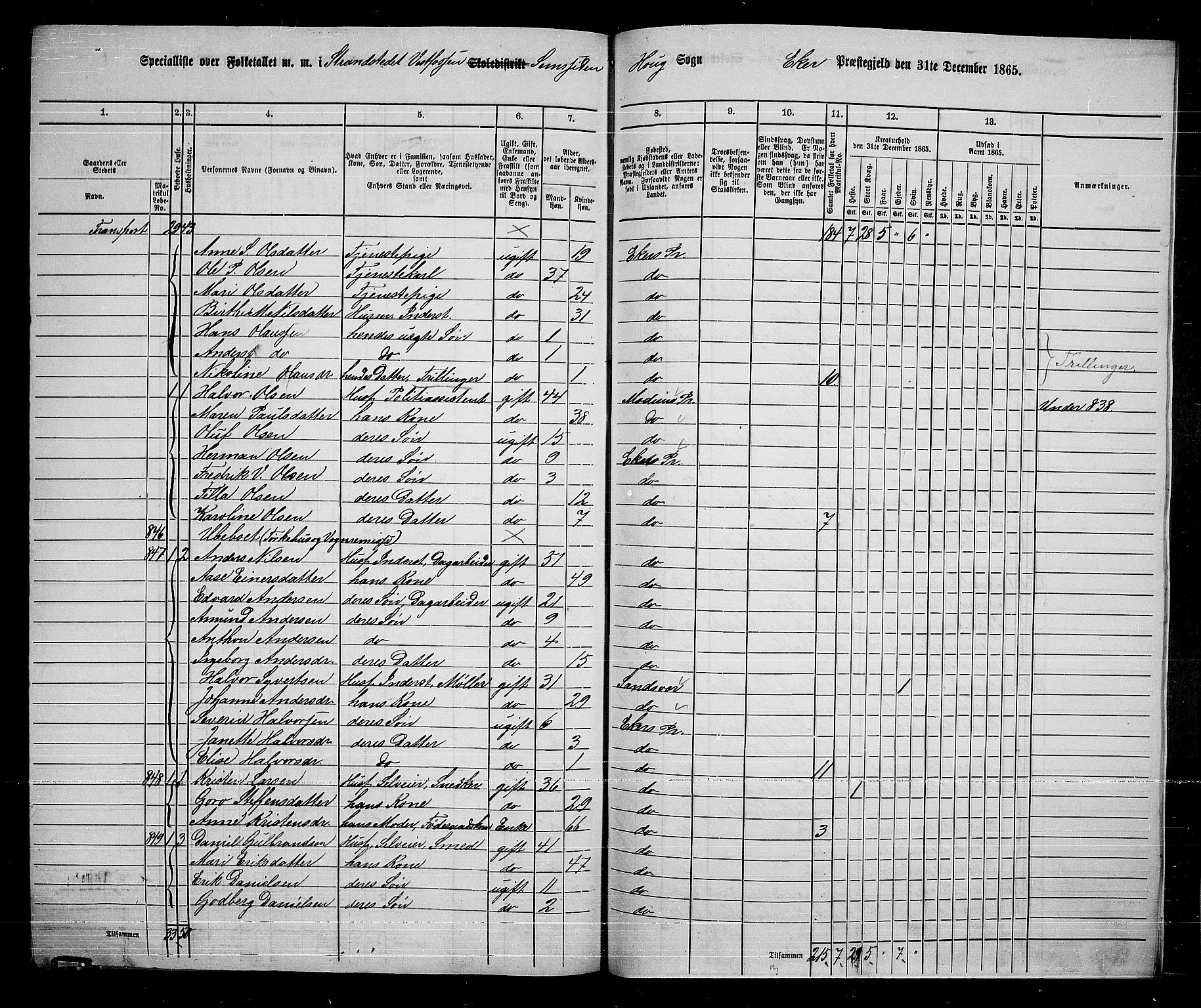 RA, 1865 census for Eiker, 1865, p. 247