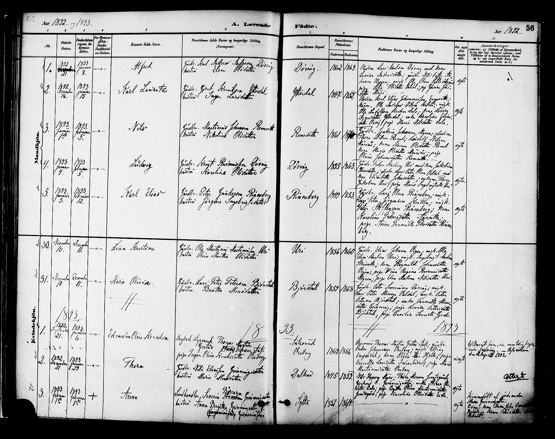 Ministerialprotokoller, klokkerbøker og fødselsregistre - Møre og Romsdal, AV/SAT-A-1454/519/L0255: Parish register (official) no. 519A14, 1884-1908, p. 56