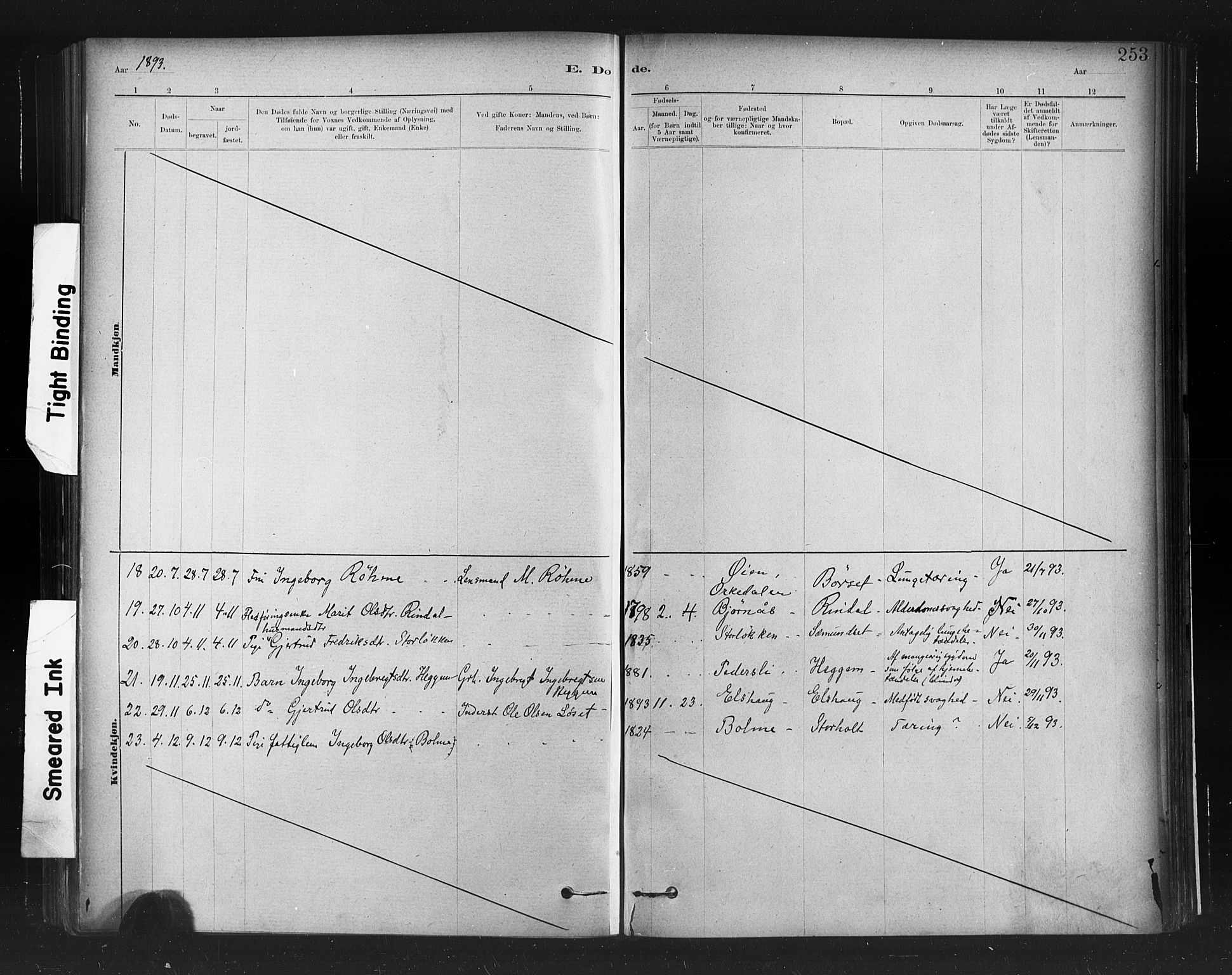 Ministerialprotokoller, klokkerbøker og fødselsregistre - Møre og Romsdal, SAT/A-1454/598/L1069: Parish register (official) no. 598A03, 1882-1895, p. 253
