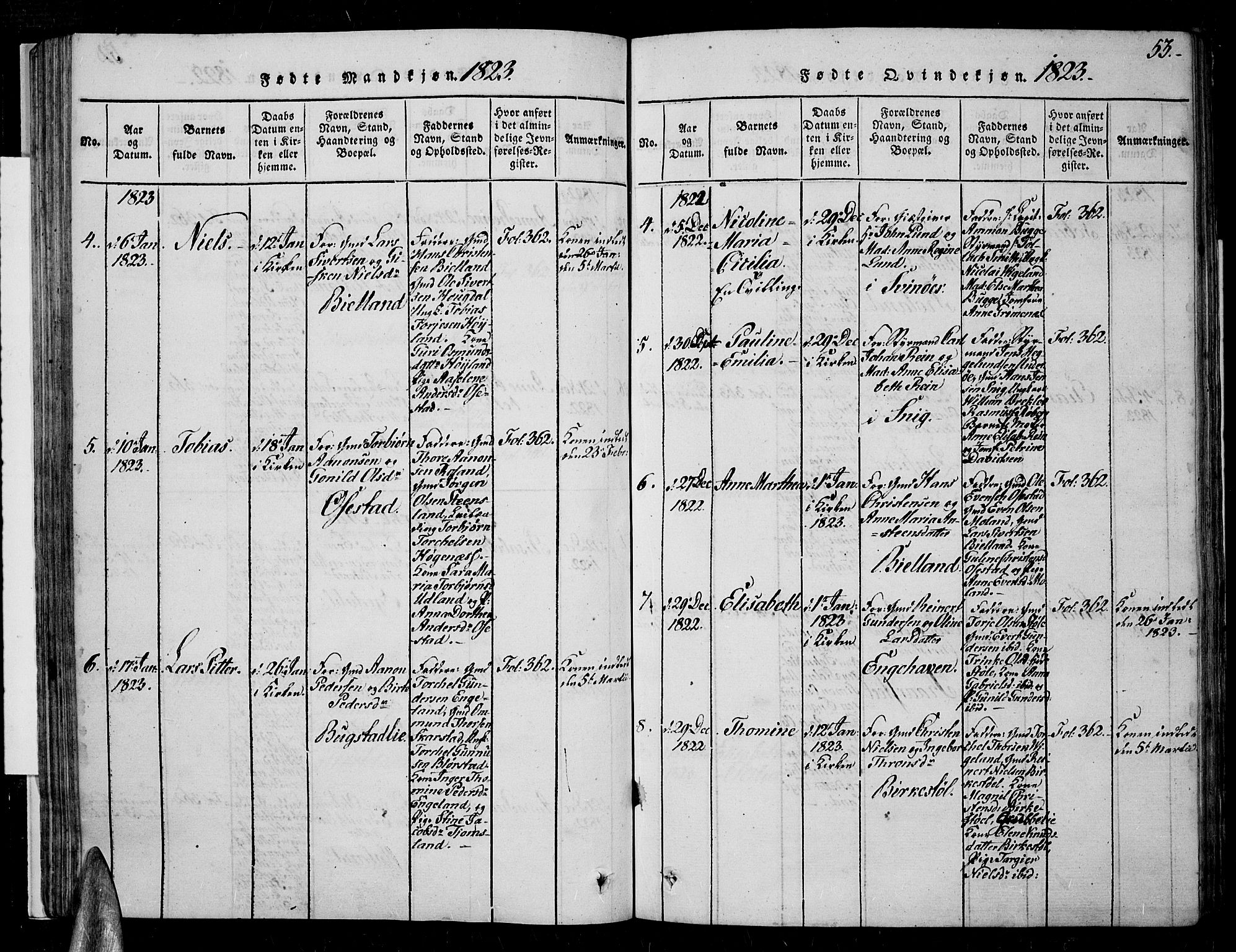 Sør-Audnedal sokneprestkontor, AV/SAK-1111-0039/F/Fa/Fab/L0005: Parish register (official) no. A 5, 1816-1830, p. 53