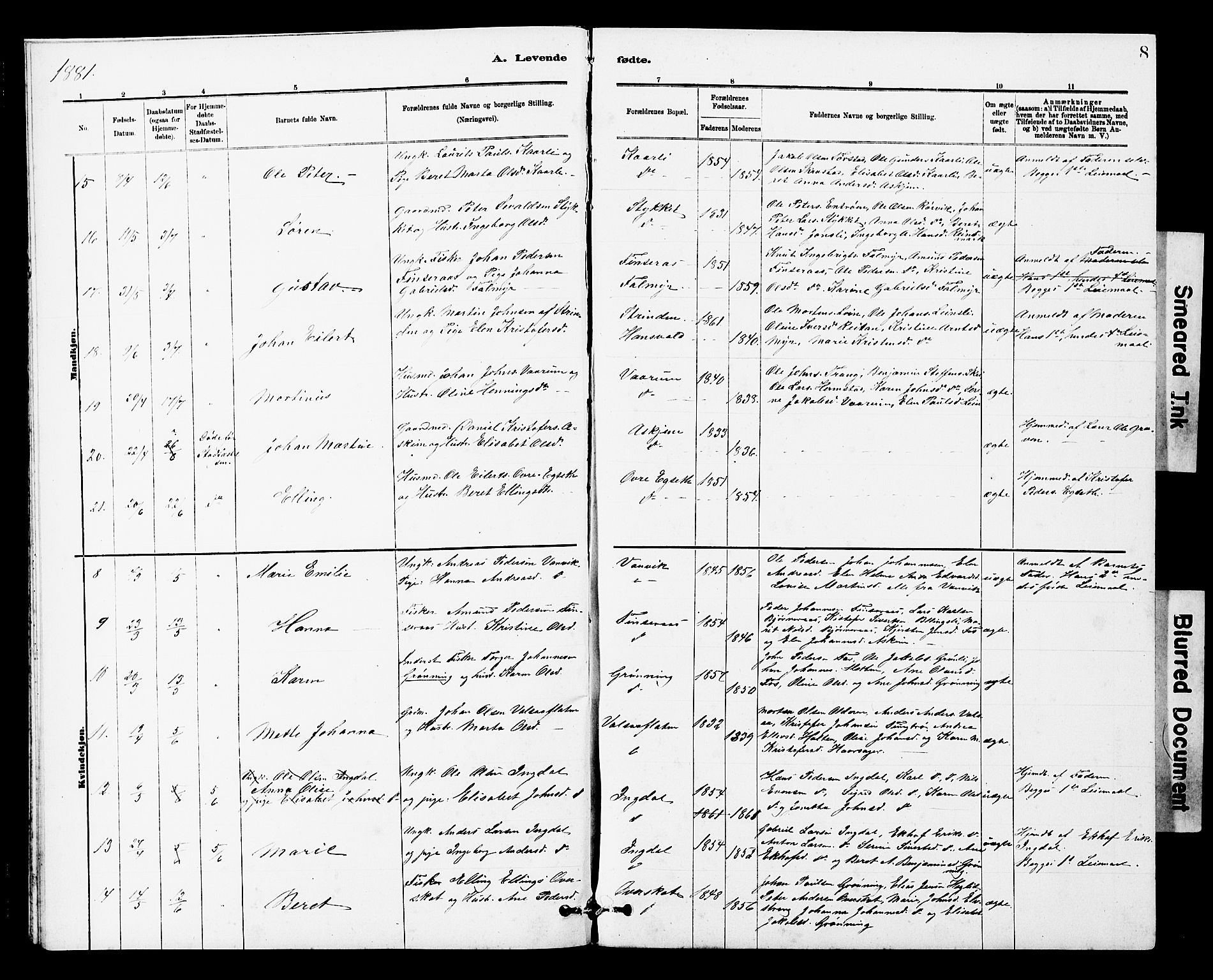 Ministerialprotokoller, klokkerbøker og fødselsregistre - Sør-Trøndelag, SAT/A-1456/646/L0628: Parish register (copy) no. 646C01, 1880-1903, p. 8