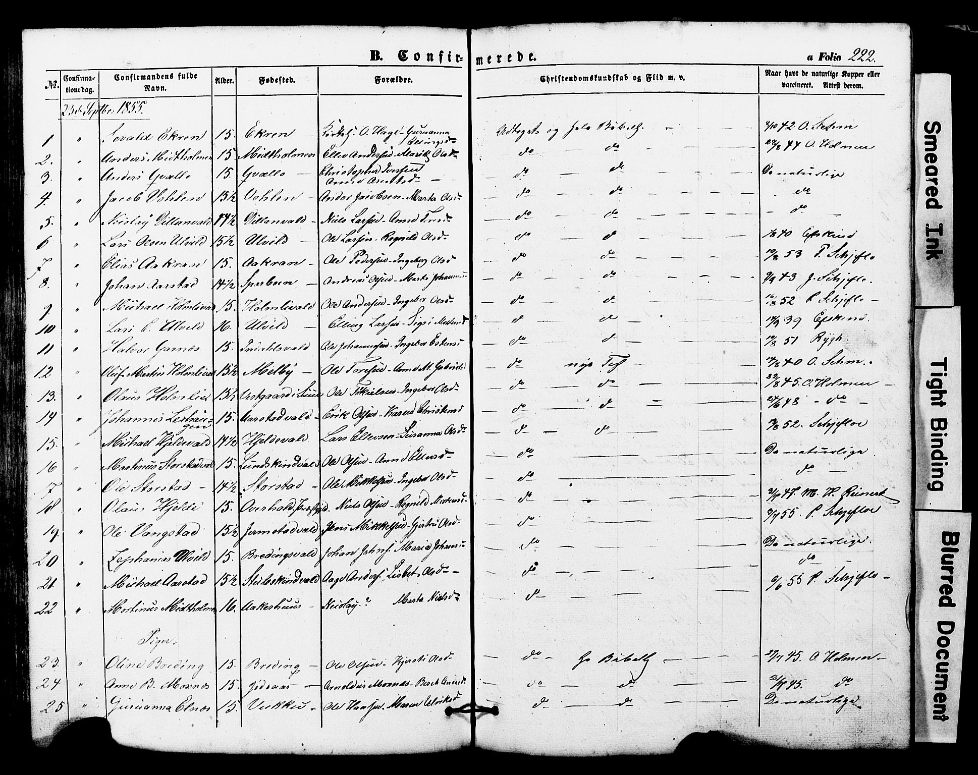 Ministerialprotokoller, klokkerbøker og fødselsregistre - Nord-Trøndelag, AV/SAT-A-1458/724/L0268: Parish register (copy) no. 724C04, 1846-1878, p. 222