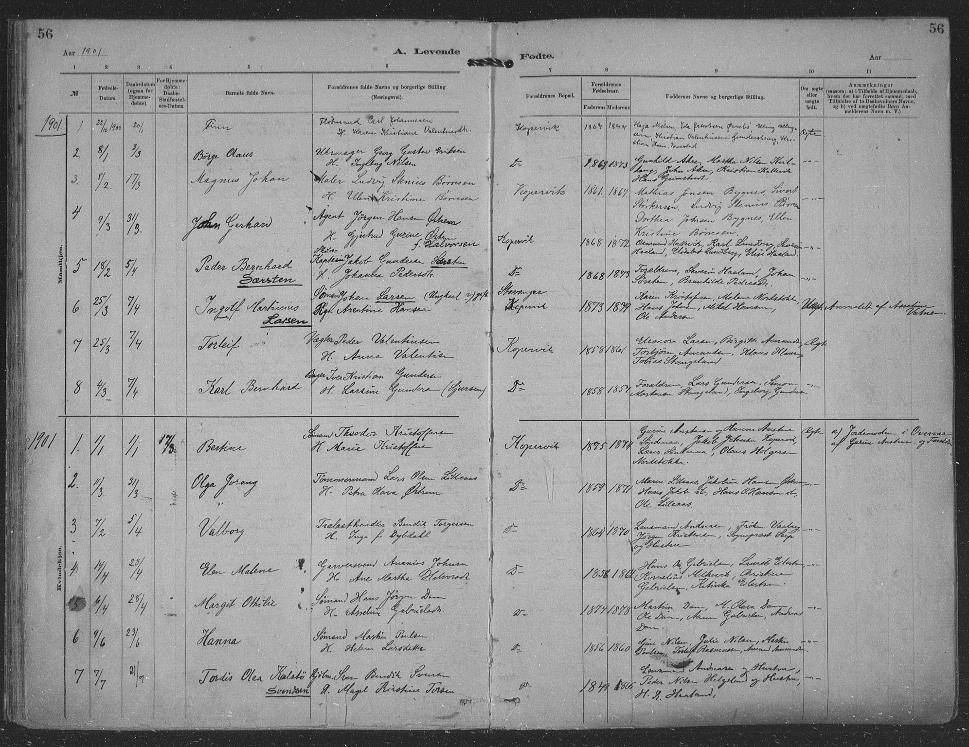 Kopervik sokneprestkontor, SAST/A-101850/H/Ha/Haa/L0001: Parish register (official) no. A 1, 1880-1919, p. 56