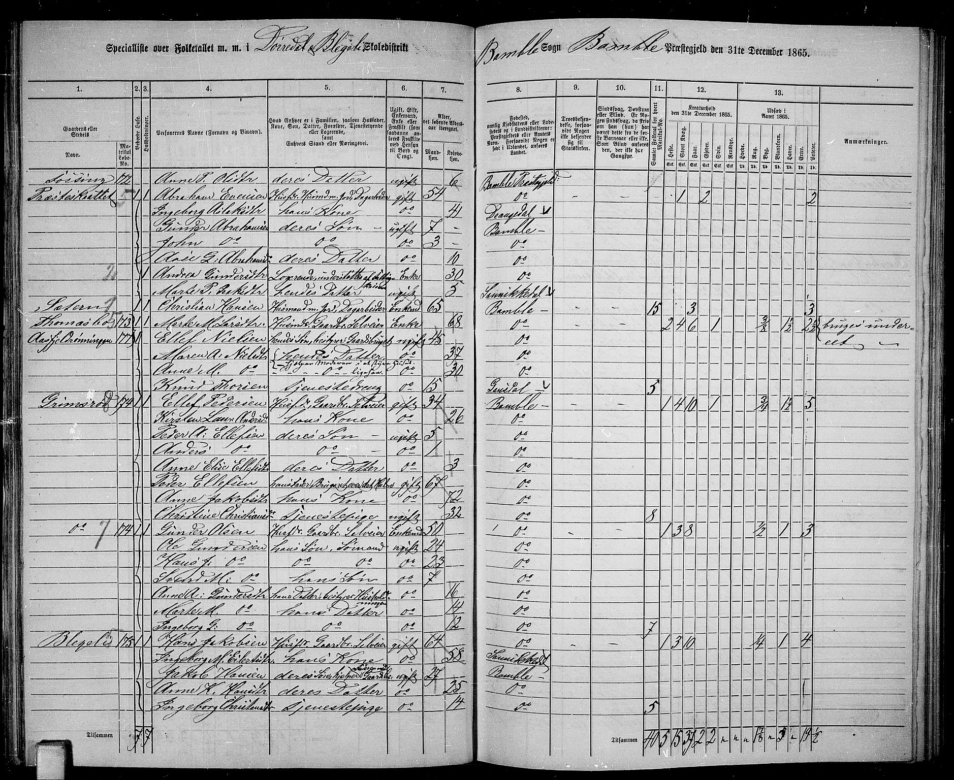 RA, 1865 census for Bamble, 1865, p. 101