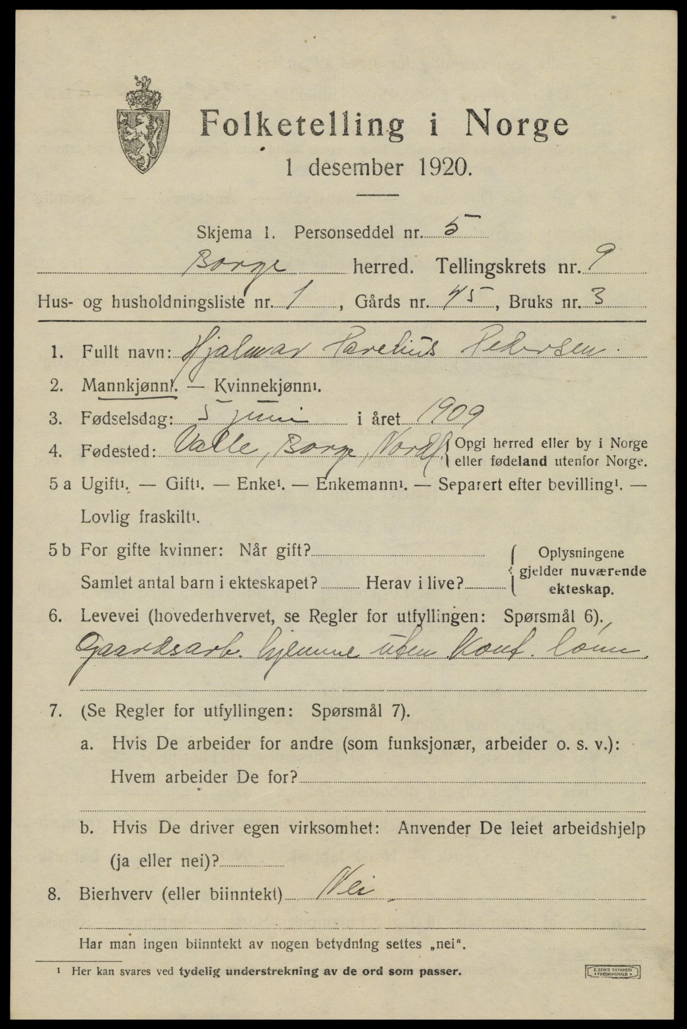 SAT, 1920 census for Borge, 1920, p. 8035