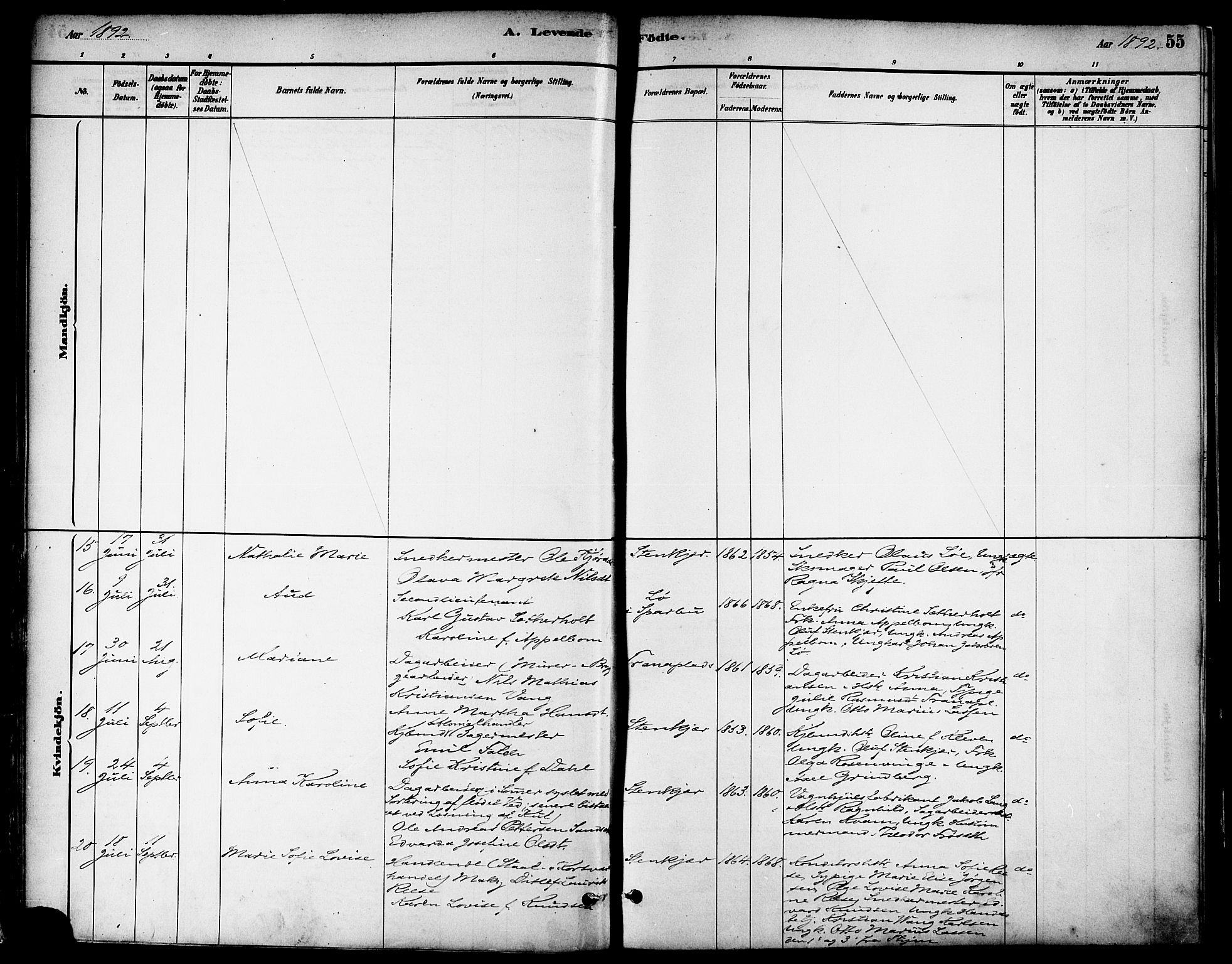 Ministerialprotokoller, klokkerbøker og fødselsregistre - Nord-Trøndelag, AV/SAT-A-1458/739/L0371: Parish register (official) no. 739A03, 1881-1895, p. 55