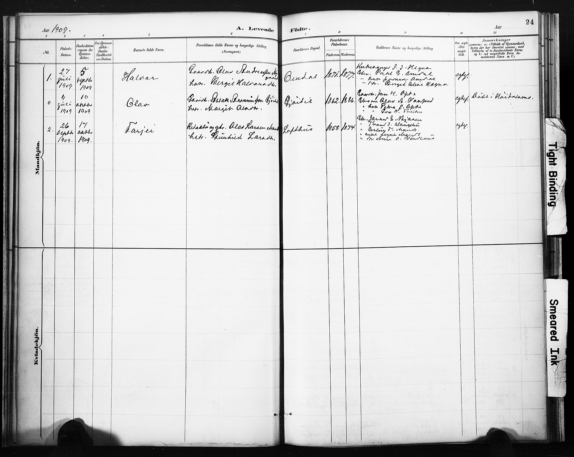 Lårdal kirkebøker, SAKO/A-284/F/Fb/L0002: Parish register (official) no. II 2, 1887-1918, p. 24