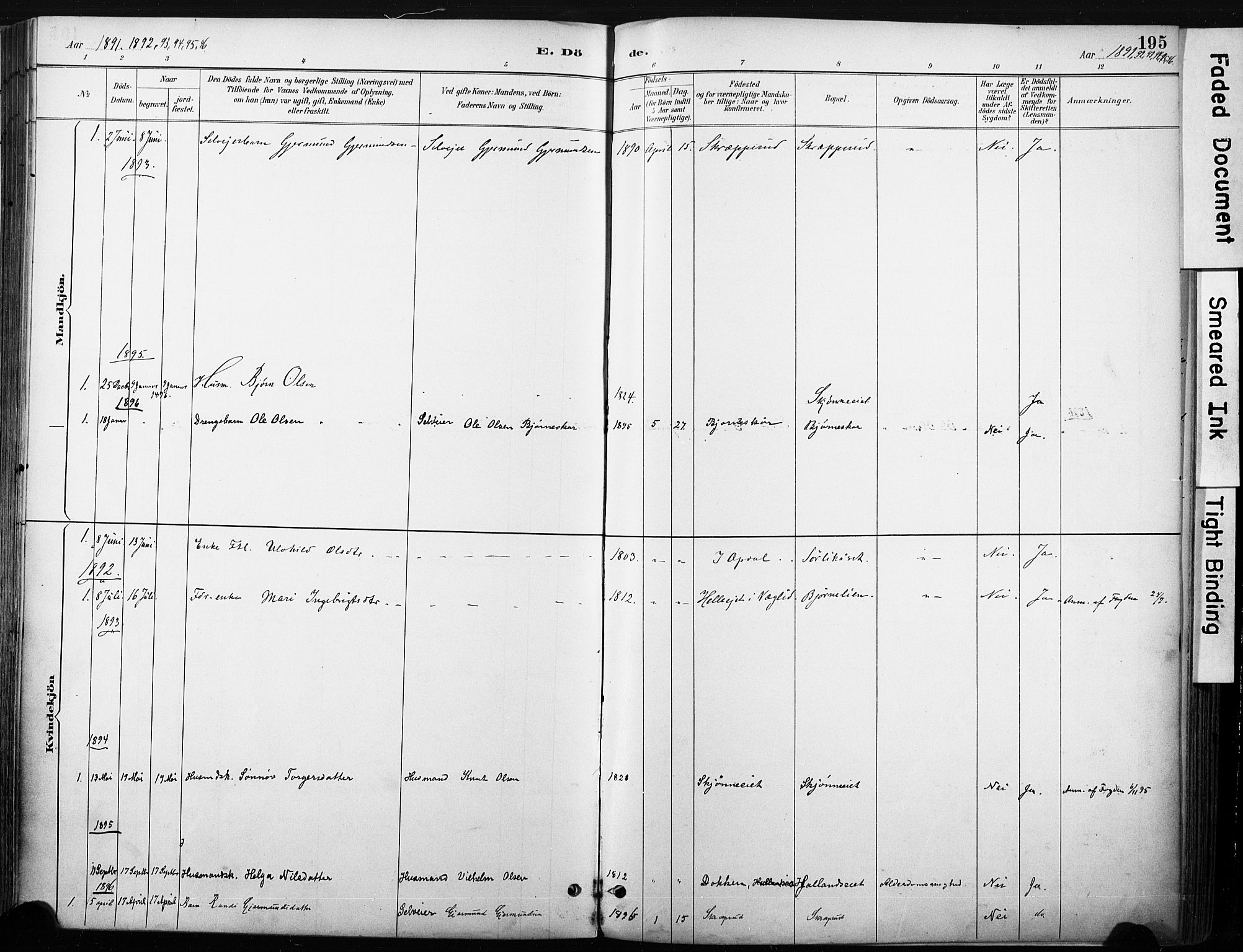 Nore kirkebøker, SAKO/A-238/F/Fb/L0002: Parish register (official) no. II 2, 1886-1906, p. 195