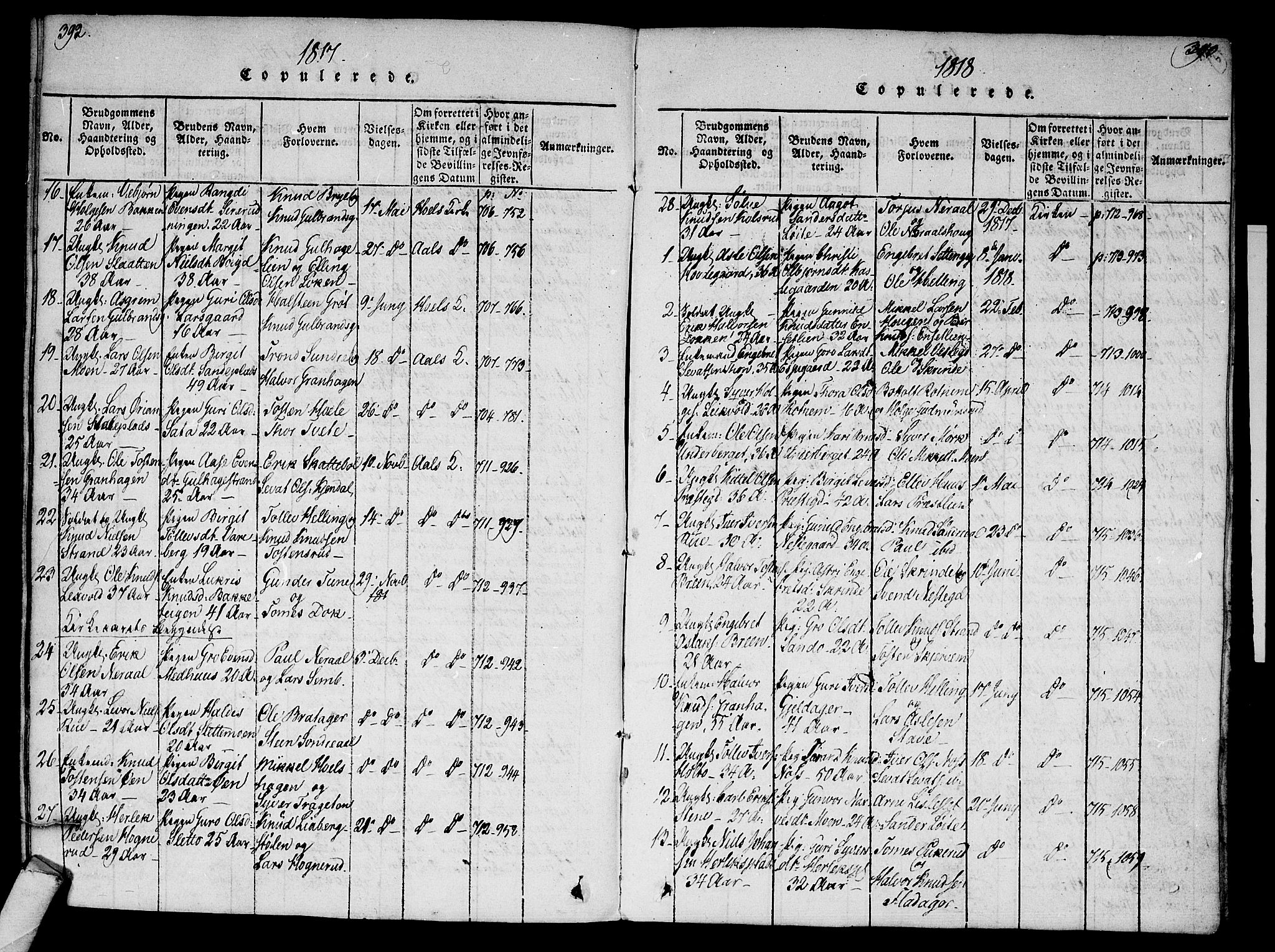 Ål kirkebøker, SAKO/A-249/F/Fa/L0004: Parish register (official) no. I 4, 1815-1825, p. 392-393