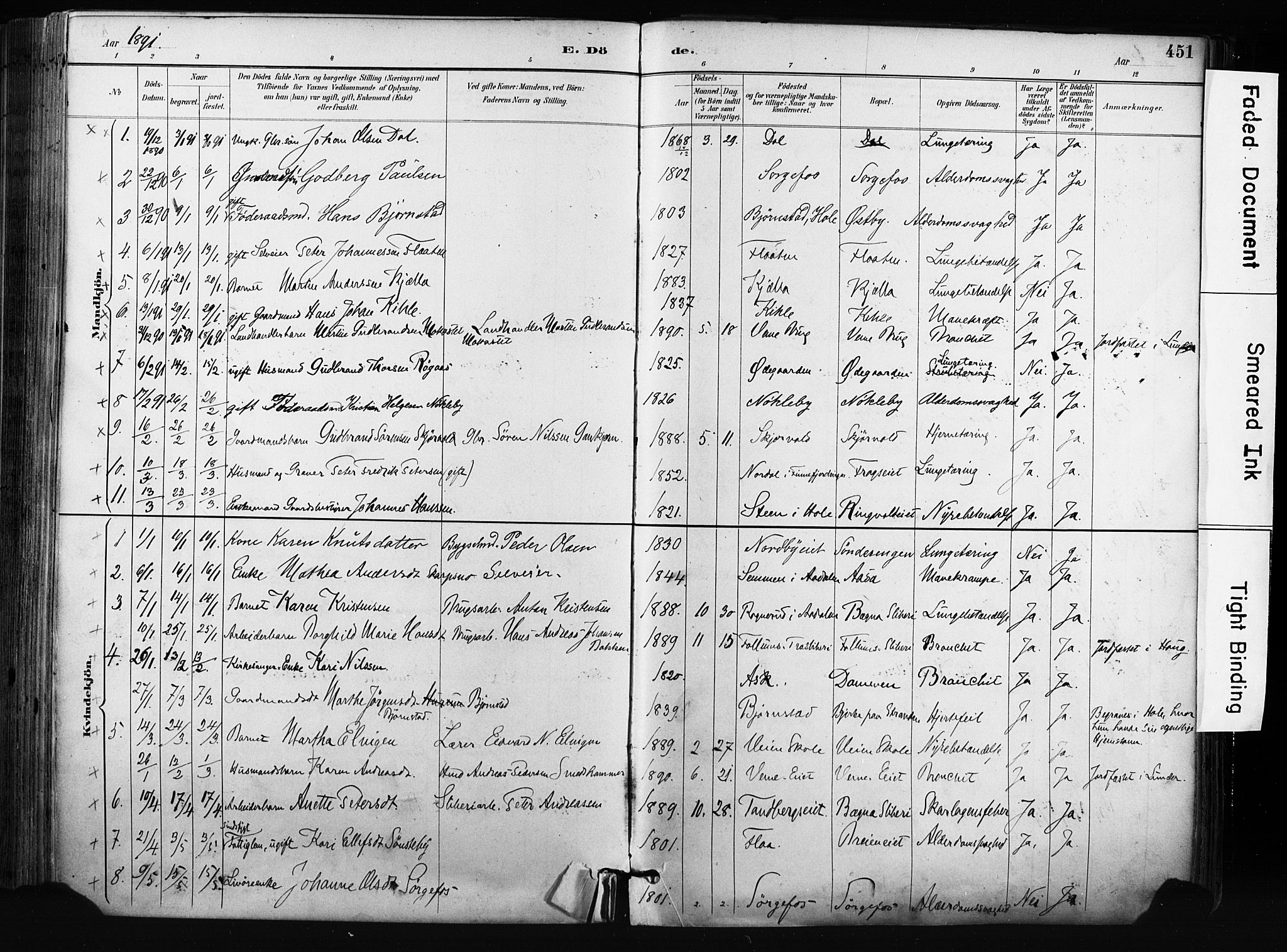 Norderhov kirkebøker, AV/SAKO-A-237/F/Fa/L0016: Parish register (official) no. 16, 1885-1902, p. 451