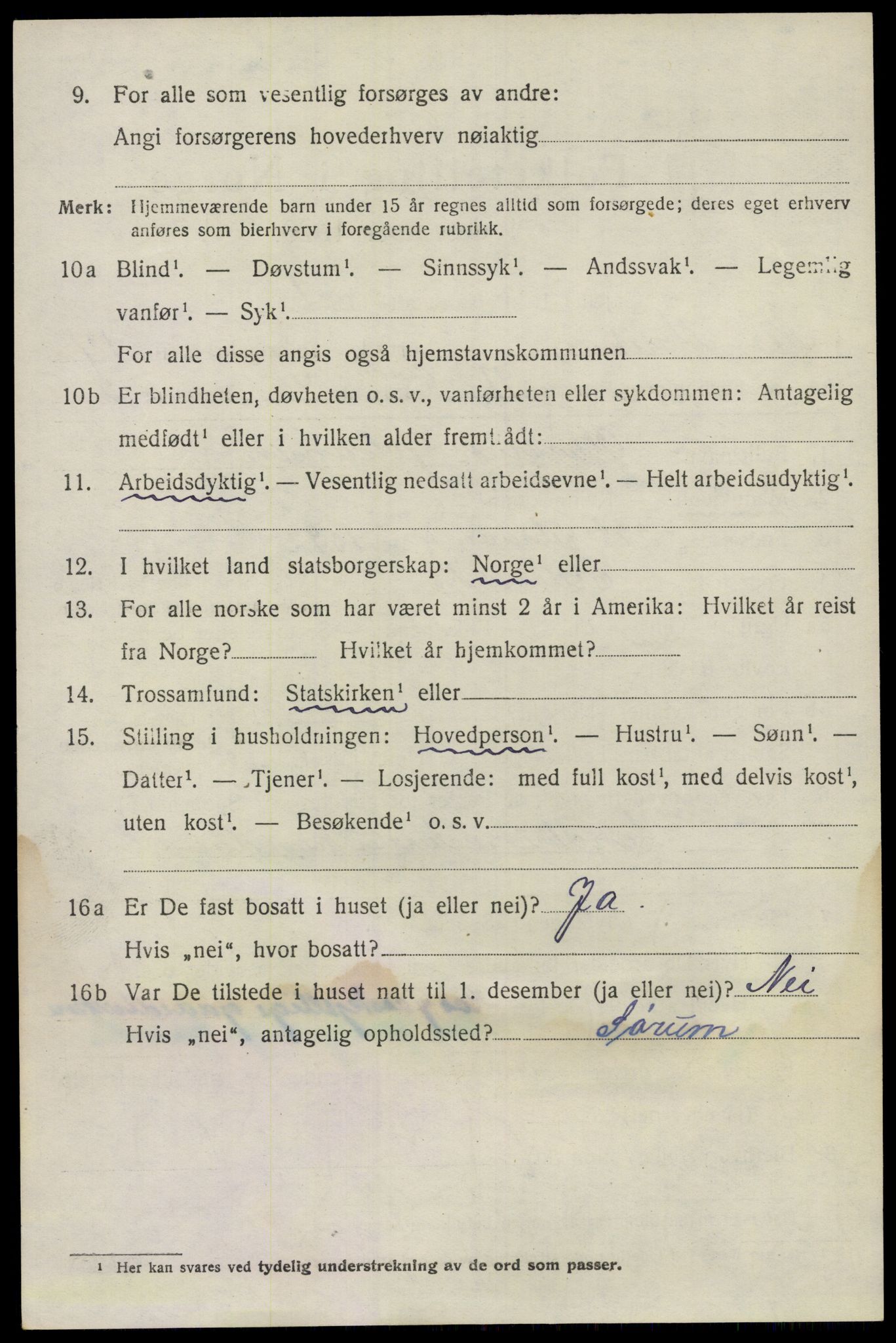 SAO, 1920 census for Nes, 1920, p. 14063