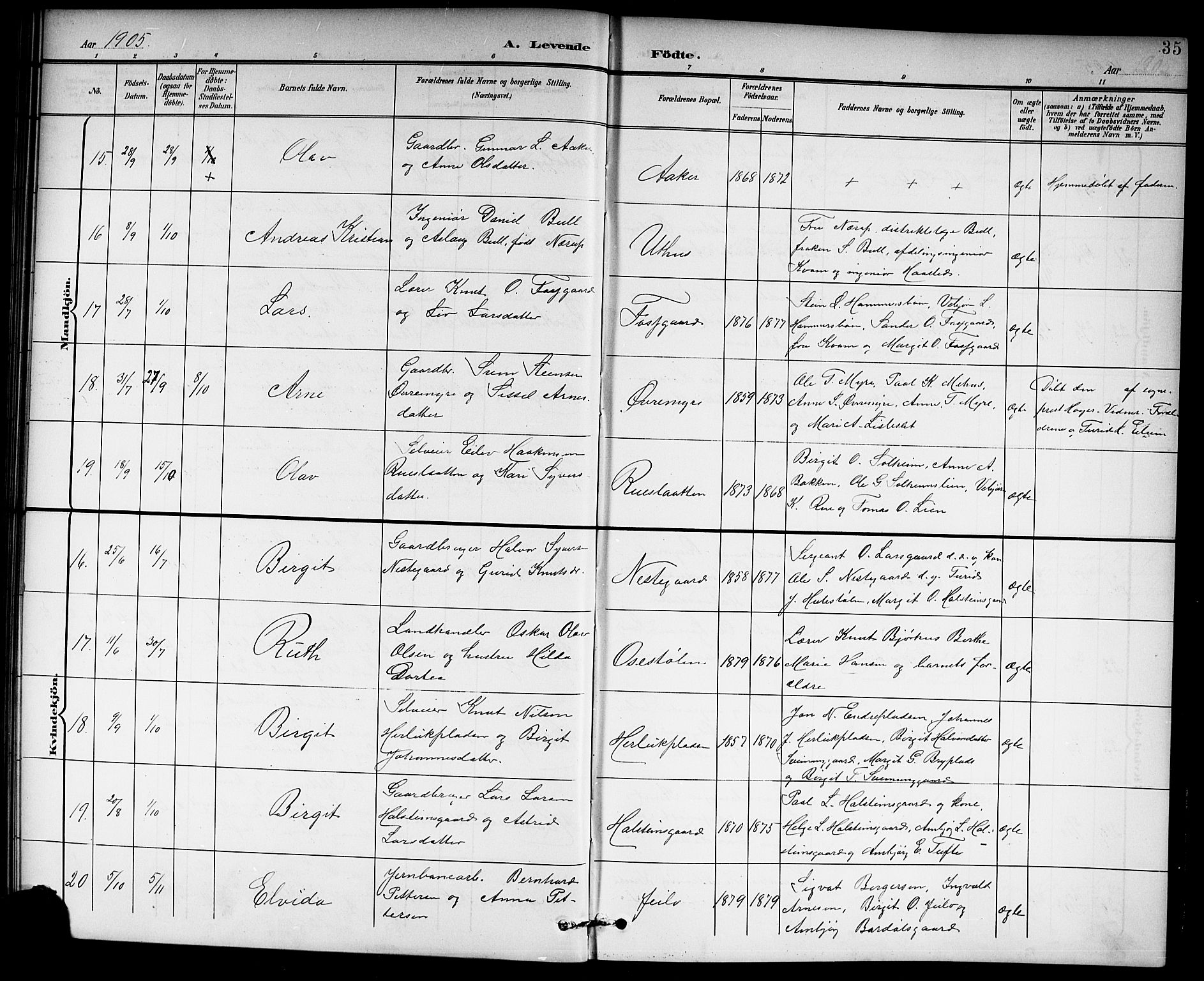 Hol kirkebøker, AV/SAKO-A-227/G/Ga/L0001: Parish register (copy) no. I 1, 1900-1919, p. 35