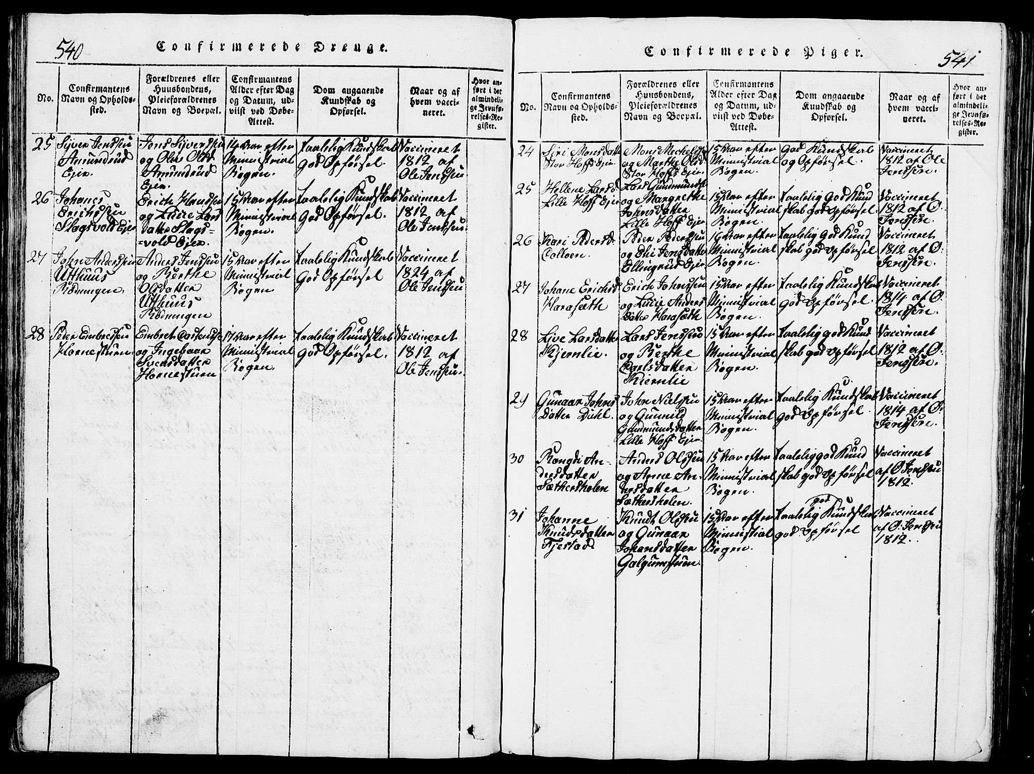 Romedal prestekontor, AV/SAH-PREST-004/L/L0005: Parish register (copy) no. 5, 1814-1829, p. 540-541