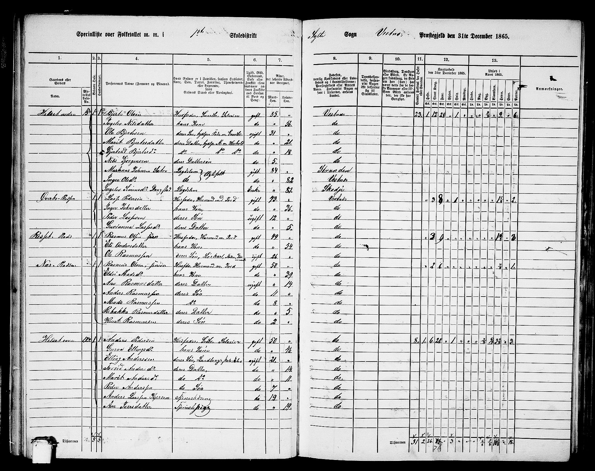 RA, 1865 census for Vestnes, 1865, p. 21