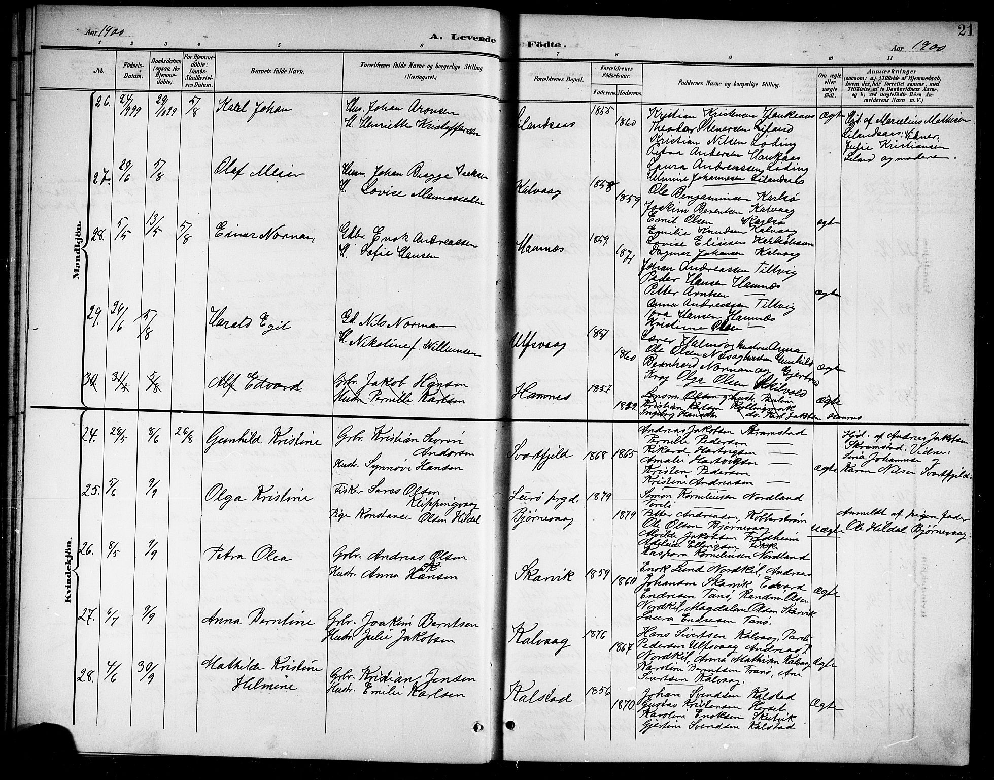Ministerialprotokoller, klokkerbøker og fødselsregistre - Nordland, AV/SAT-A-1459/859/L0860: Parish register (copy) no. 859C06, 1899-1909, p. 21