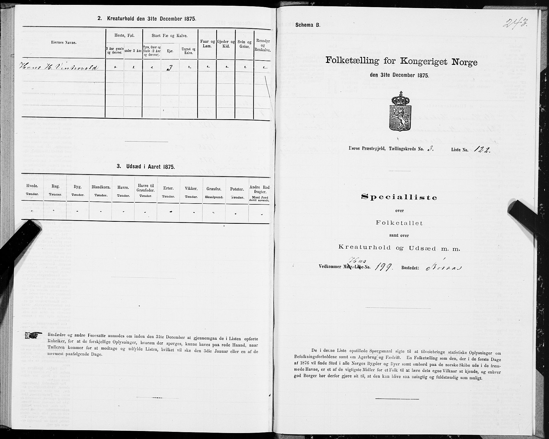 SAT, 1875 census for 1640P Røros, 1875, p. 2243