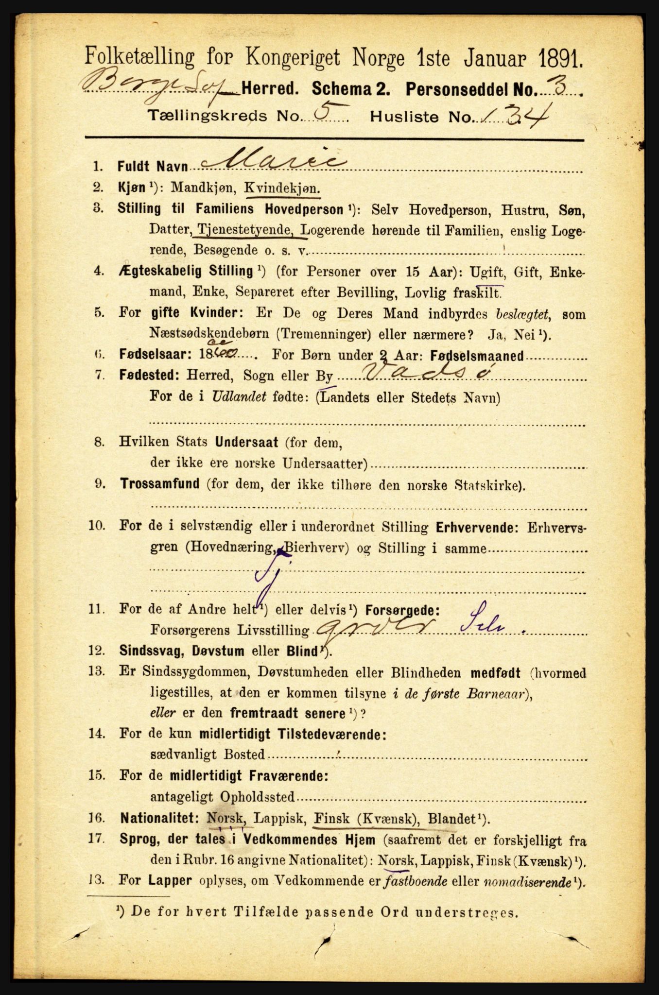 RA, 1891 census for 1862 Borge, 1891, p. 3865