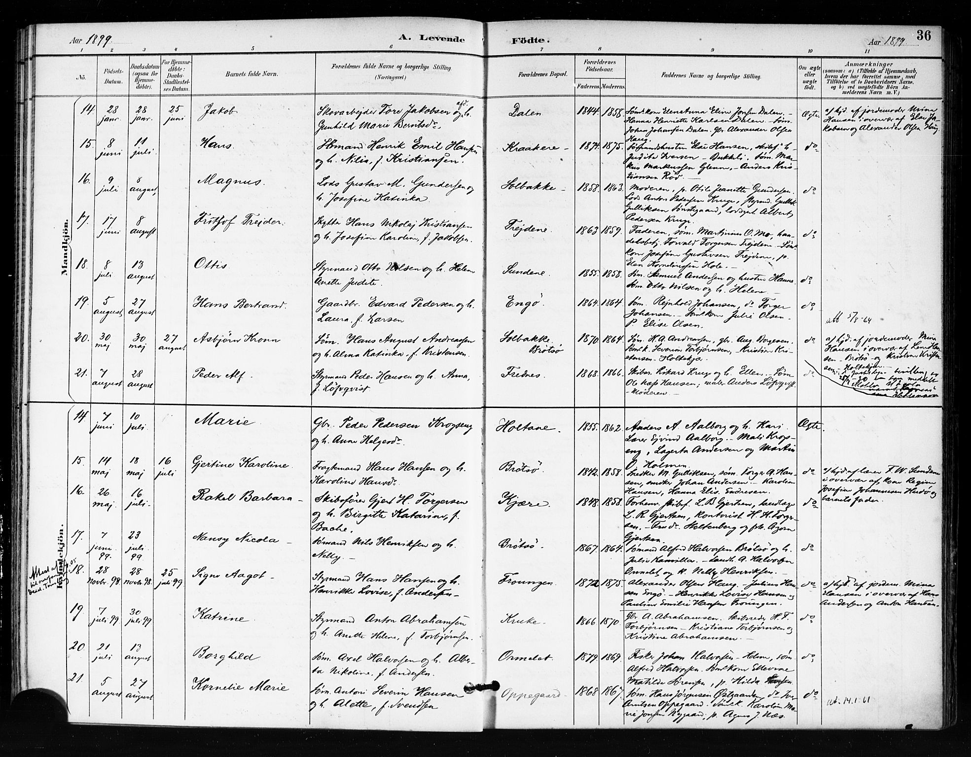 Tjøme kirkebøker, AV/SAKO-A-328/F/Fa/L0003: Parish register (official) no. I 3, 1891-1900, p. 36
