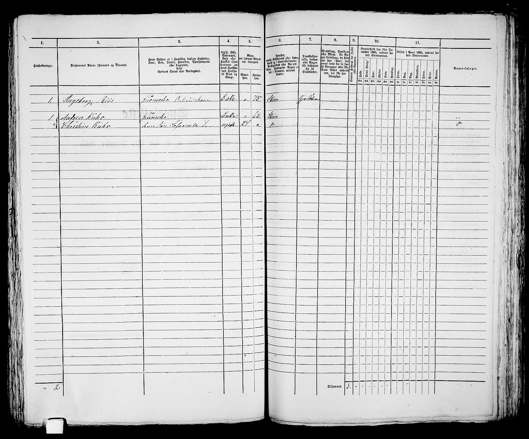 RA, 1865 census for Skien, 1865, p. 733