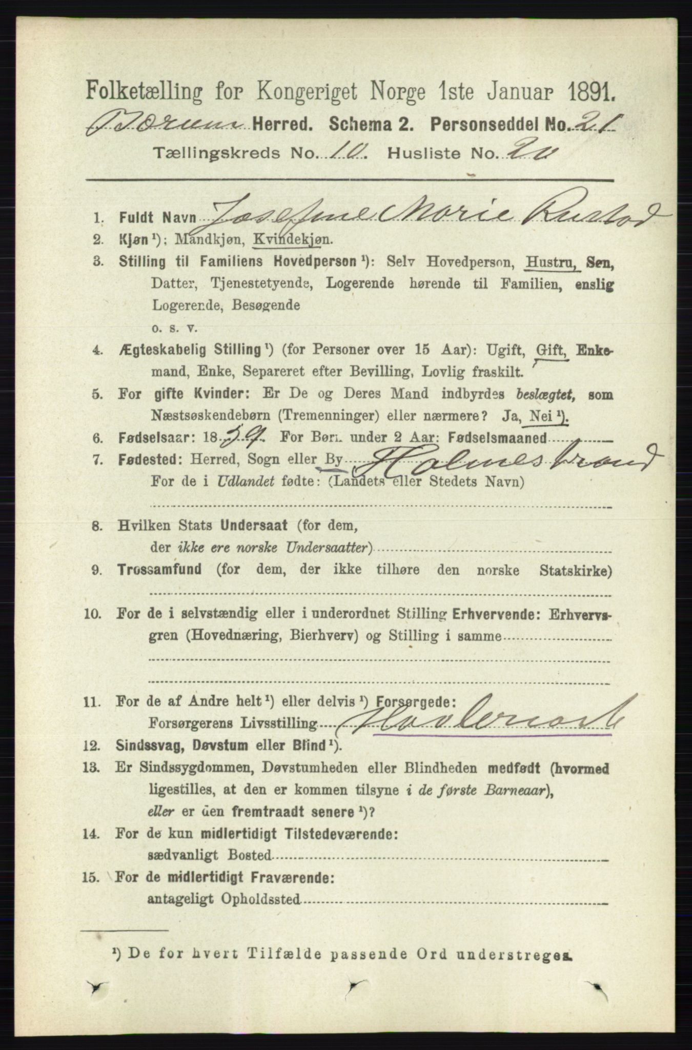 RA, 1891 census for 0219 Bærum, 1891, p. 6725