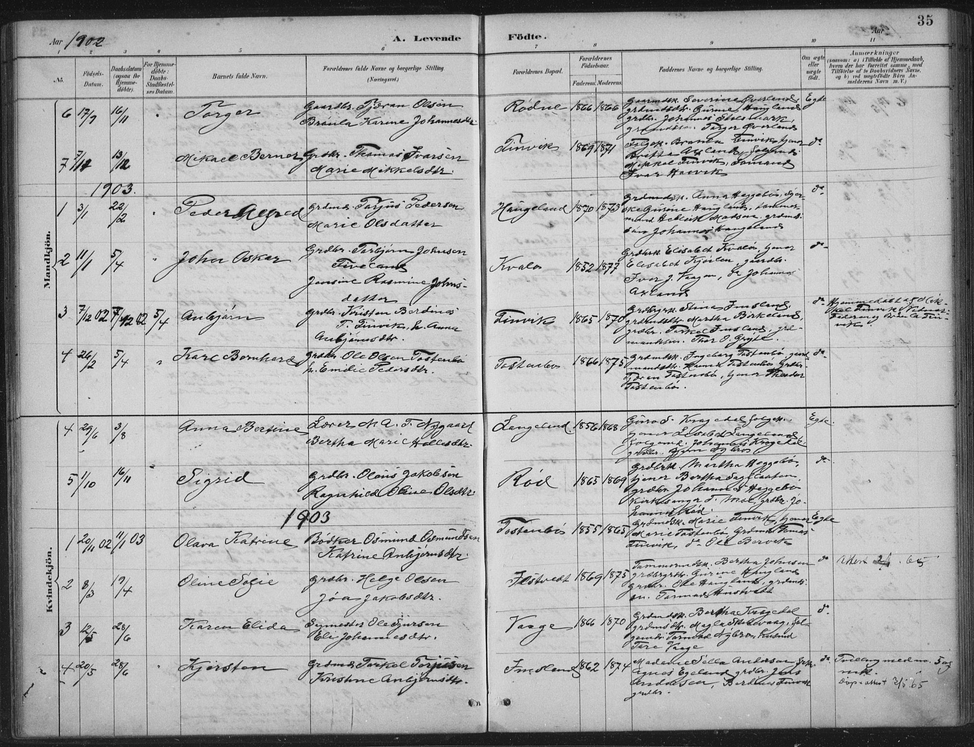 Vikedal sokneprestkontor, AV/SAST-A-101840/01/IV: Parish register (official) no. A 12, 1886-1929, p. 35