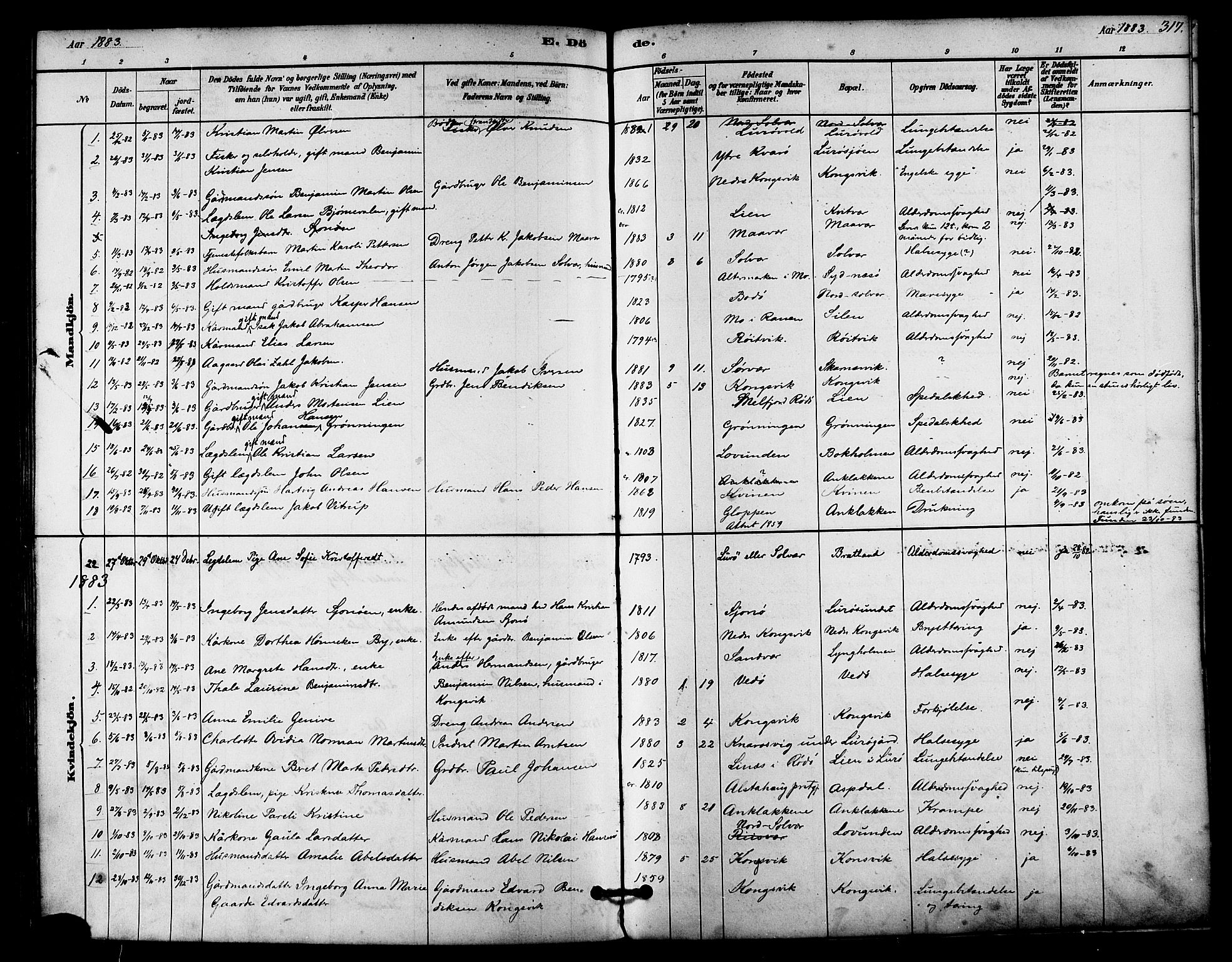 Ministerialprotokoller, klokkerbøker og fødselsregistre - Nordland, SAT/A-1459/839/L0568: Parish register (official) no. 839A05, 1880-1902, p. 317