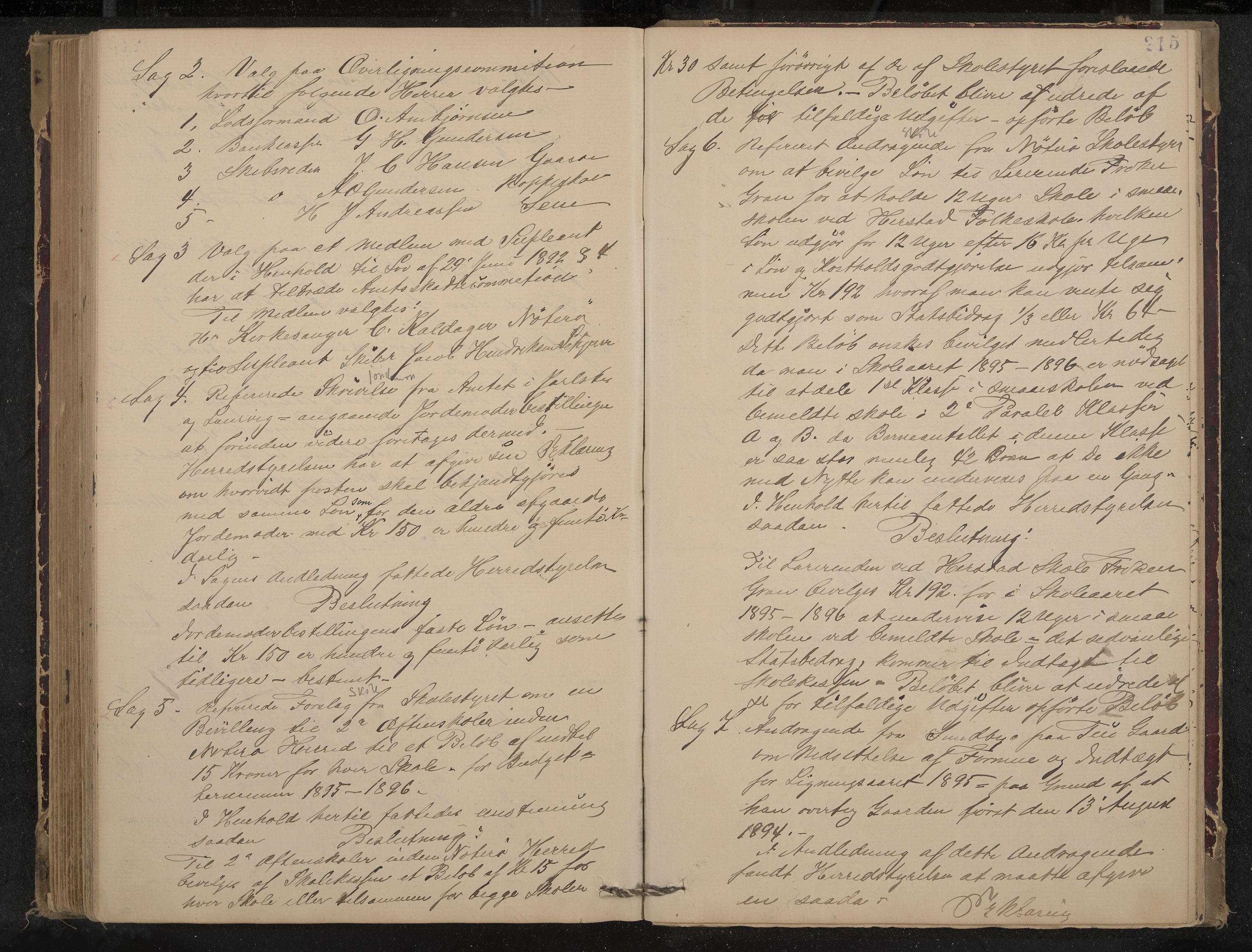 Nøtterøy formannskap og sentraladministrasjon, IKAK/0722021-1/A/Aa/L0004: Møtebok, 1887-1896, p. 215