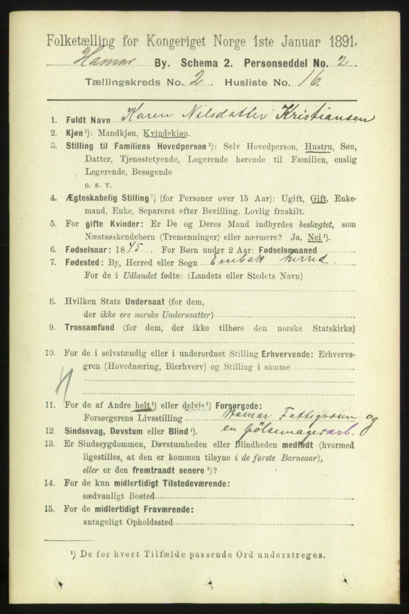 RA, 1891 census for 0401 Hamar, 1891, p. 1199