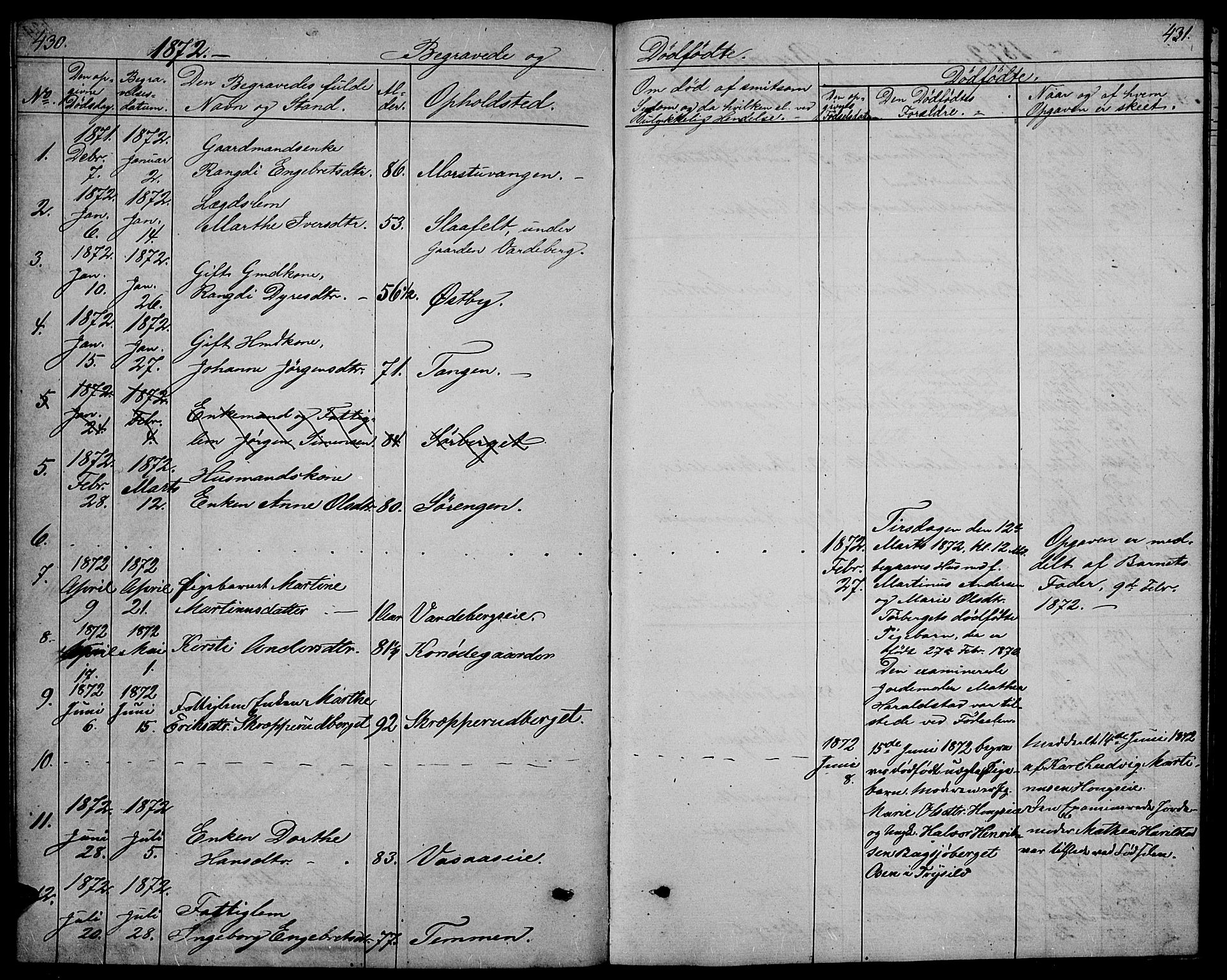 Stange prestekontor, SAH/PREST-002/L/L0005: Parish register (copy) no. 5, 1861-1881, p. 430-431