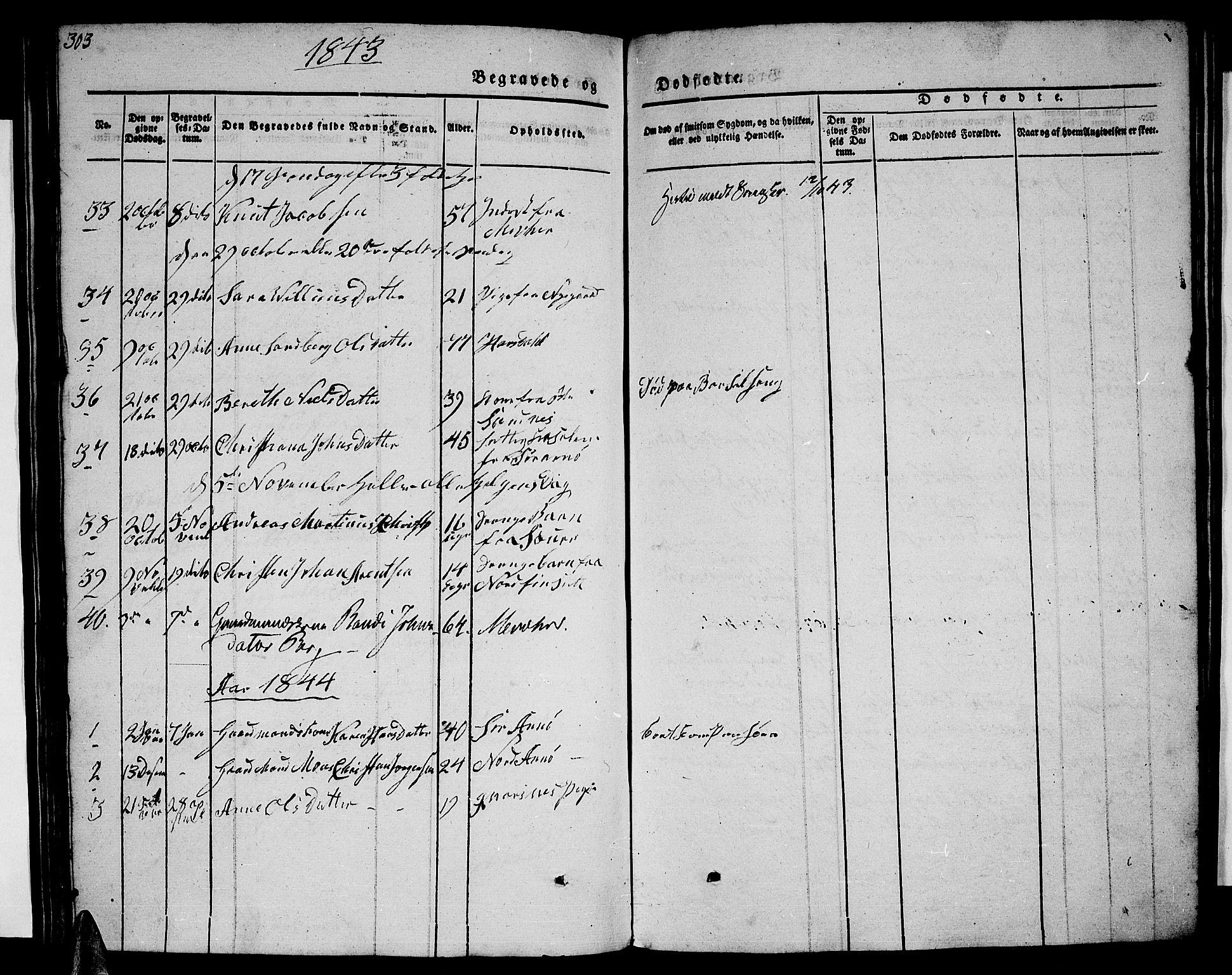 Ministerialprotokoller, klokkerbøker og fødselsregistre - Nordland, SAT/A-1459/805/L0106: Parish register (copy) no. 805C02, 1841-1861, p. 303
