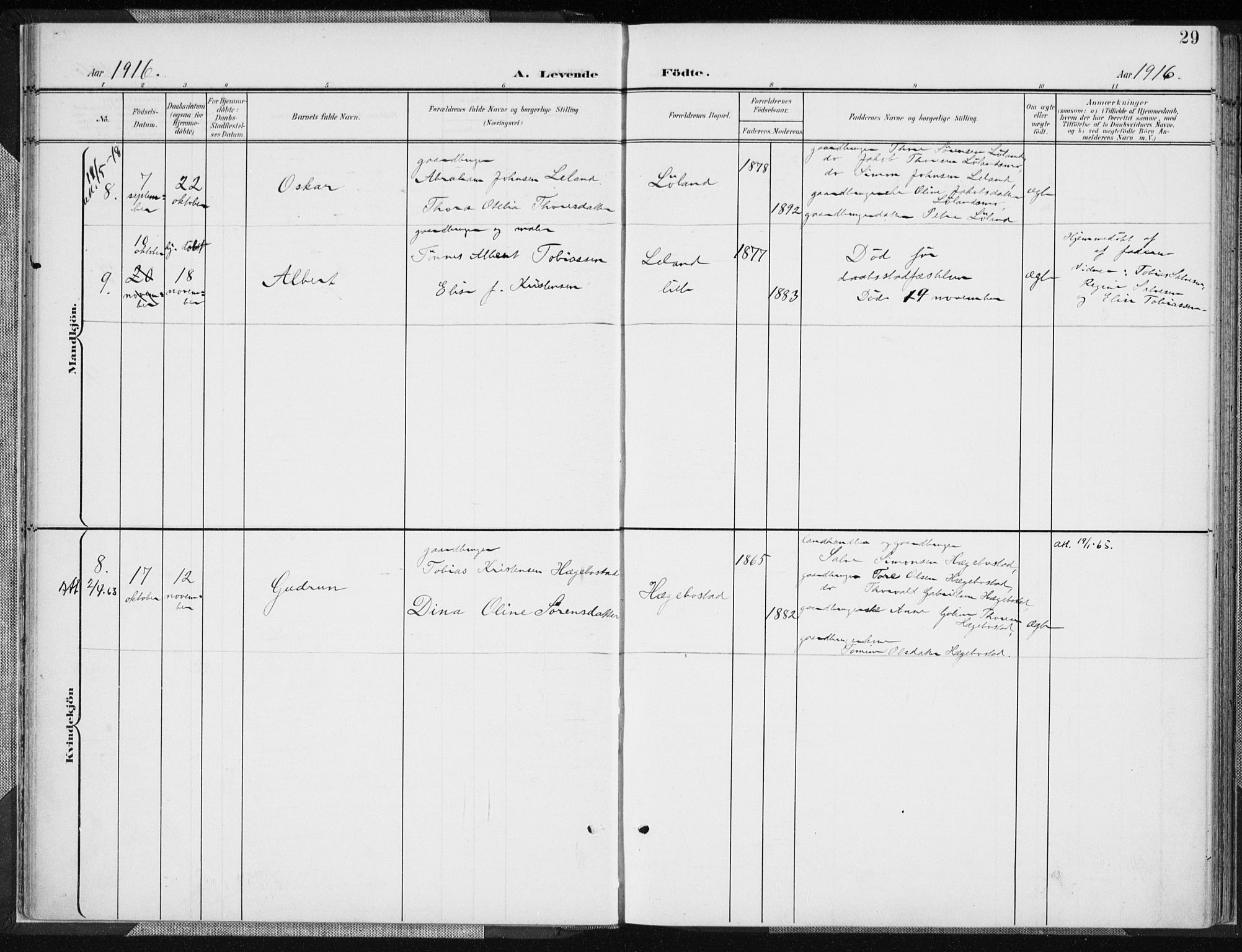 Nord-Audnedal sokneprestkontor, AV/SAK-1111-0032/F/Fa/Fab/L0004: Parish register (official) no. A 4, 1901-1917, p. 29