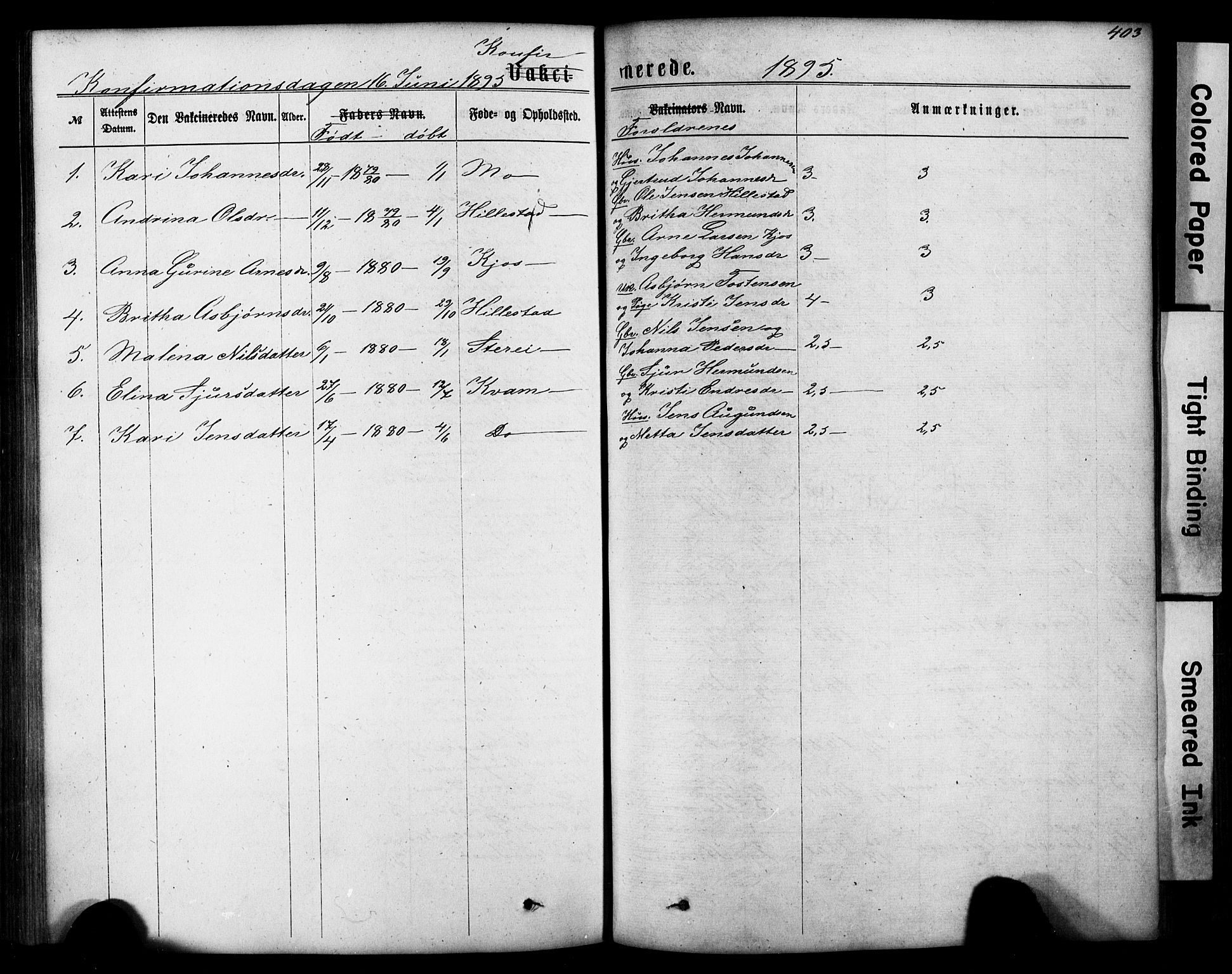 Hafslo sokneprestembete, SAB/A-80301/H/Hab/Haba/L0001: Parish register (copy) no. A 1, 1866-1908, p. 403