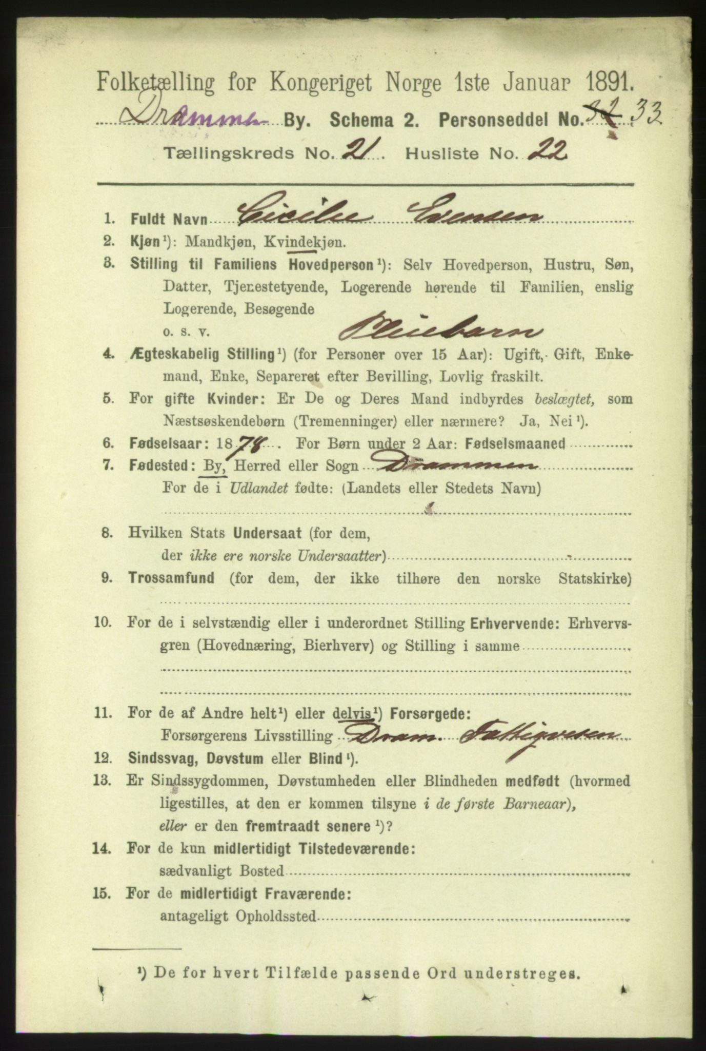 RA, 1891 census for 0602 Drammen, 1891, p. 13293