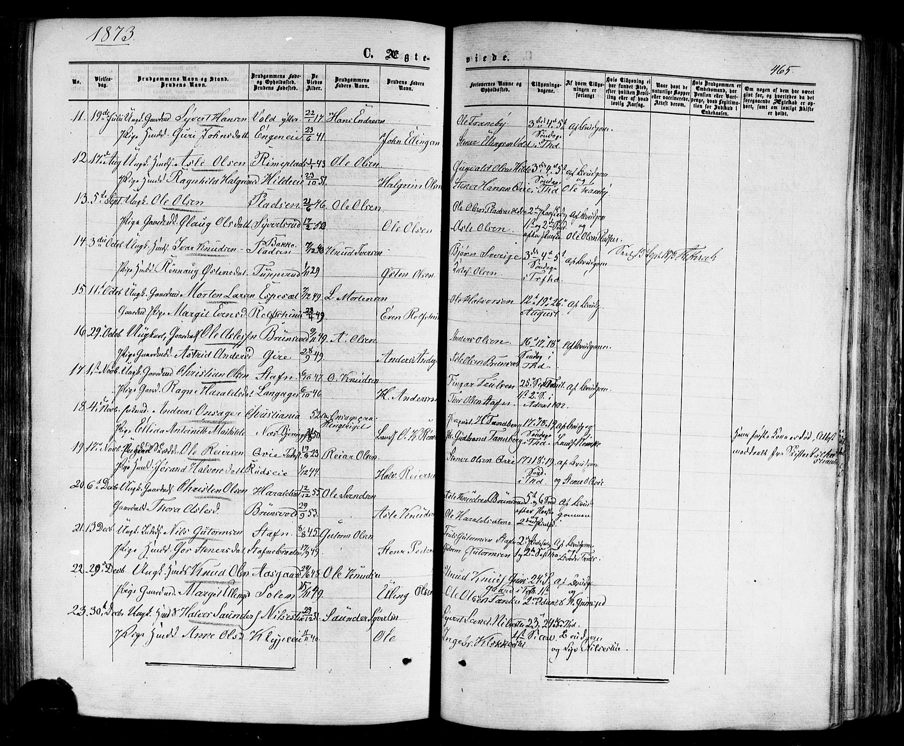 Nes kirkebøker, SAKO/A-236/F/Fa/L0010: Parish register (official) no. 10, 1864-1880, p. 465