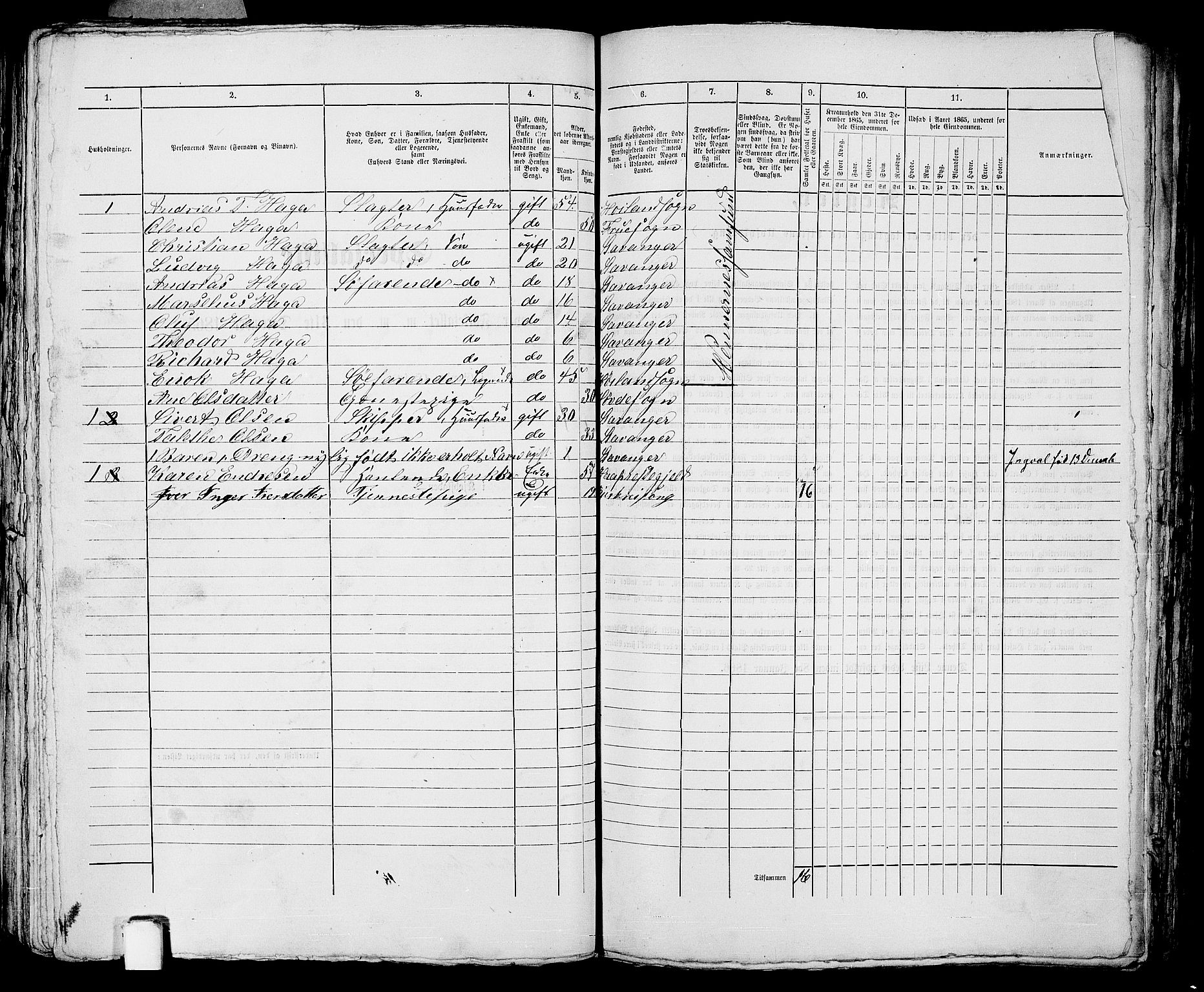 RA, 1865 census for Stavanger, 1865, p. 2697