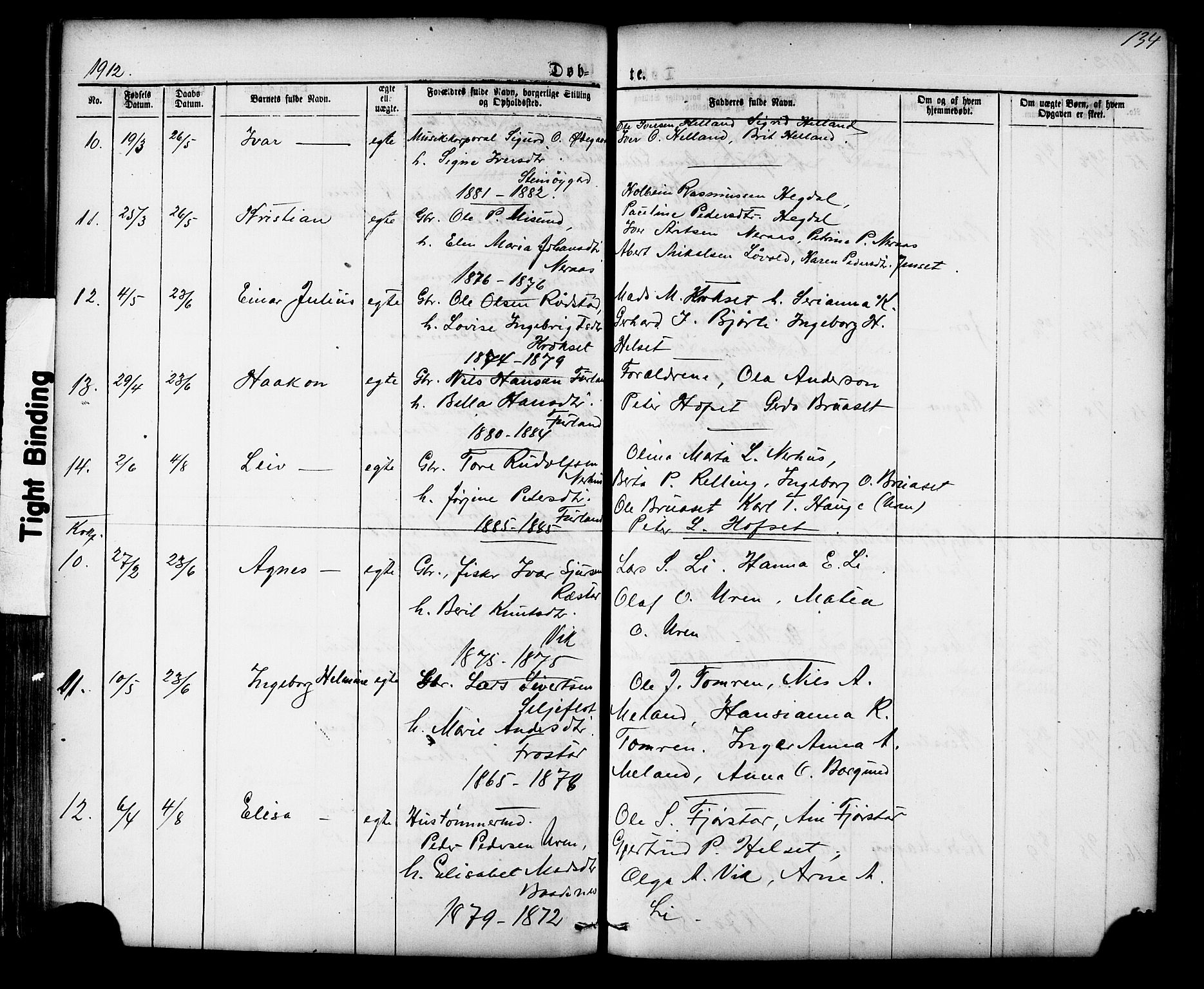 Ministerialprotokoller, klokkerbøker og fødselsregistre - Møre og Romsdal, AV/SAT-A-1454/539/L0536: Parish register (copy) no. 539C02, 1867-1913, p. 134