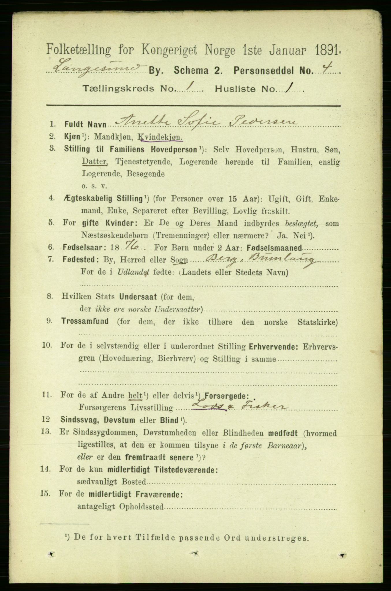 RA, 1891 census for 0802 Langesund, 1891, p. 506